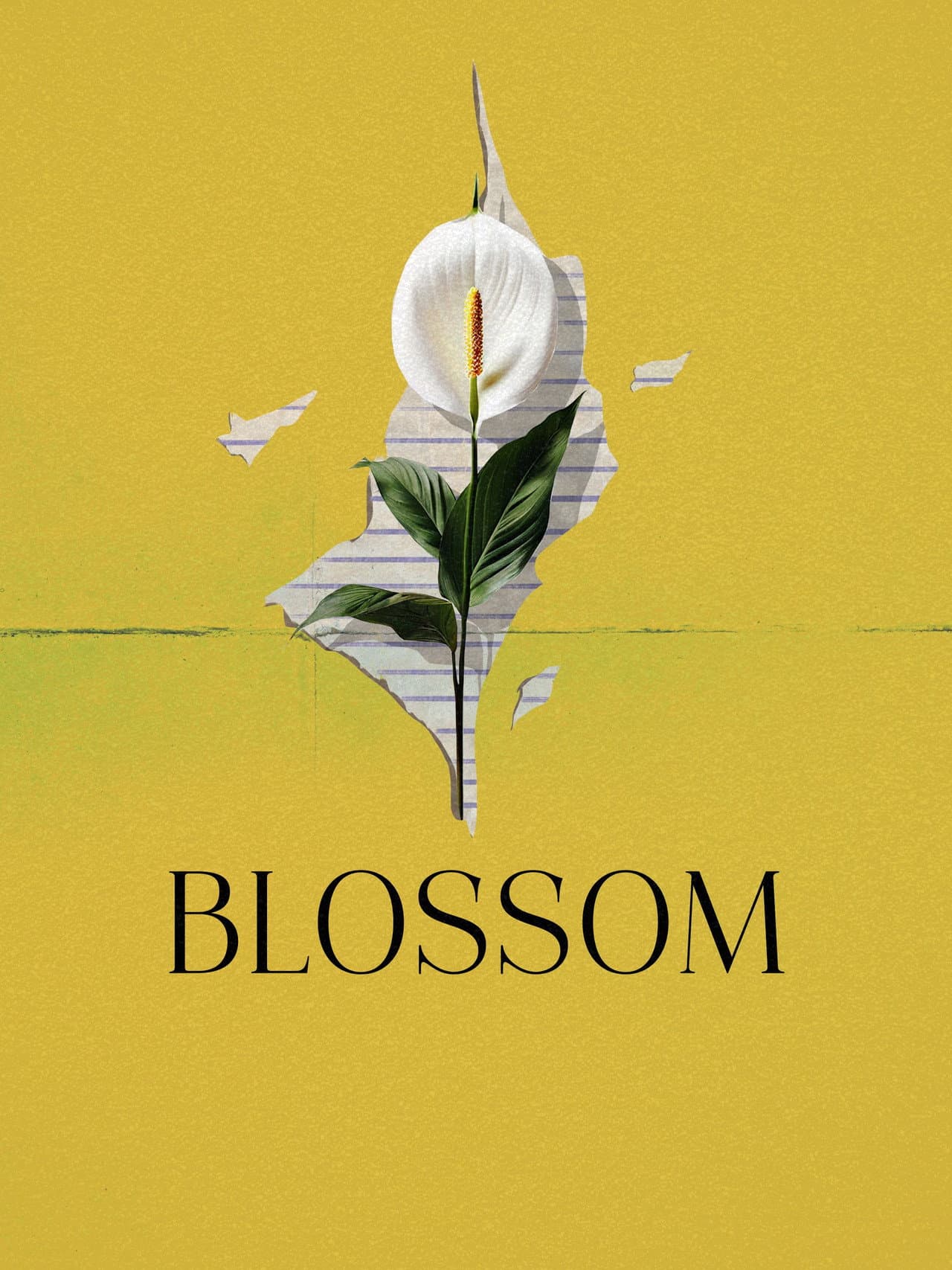 Blossom preview 2