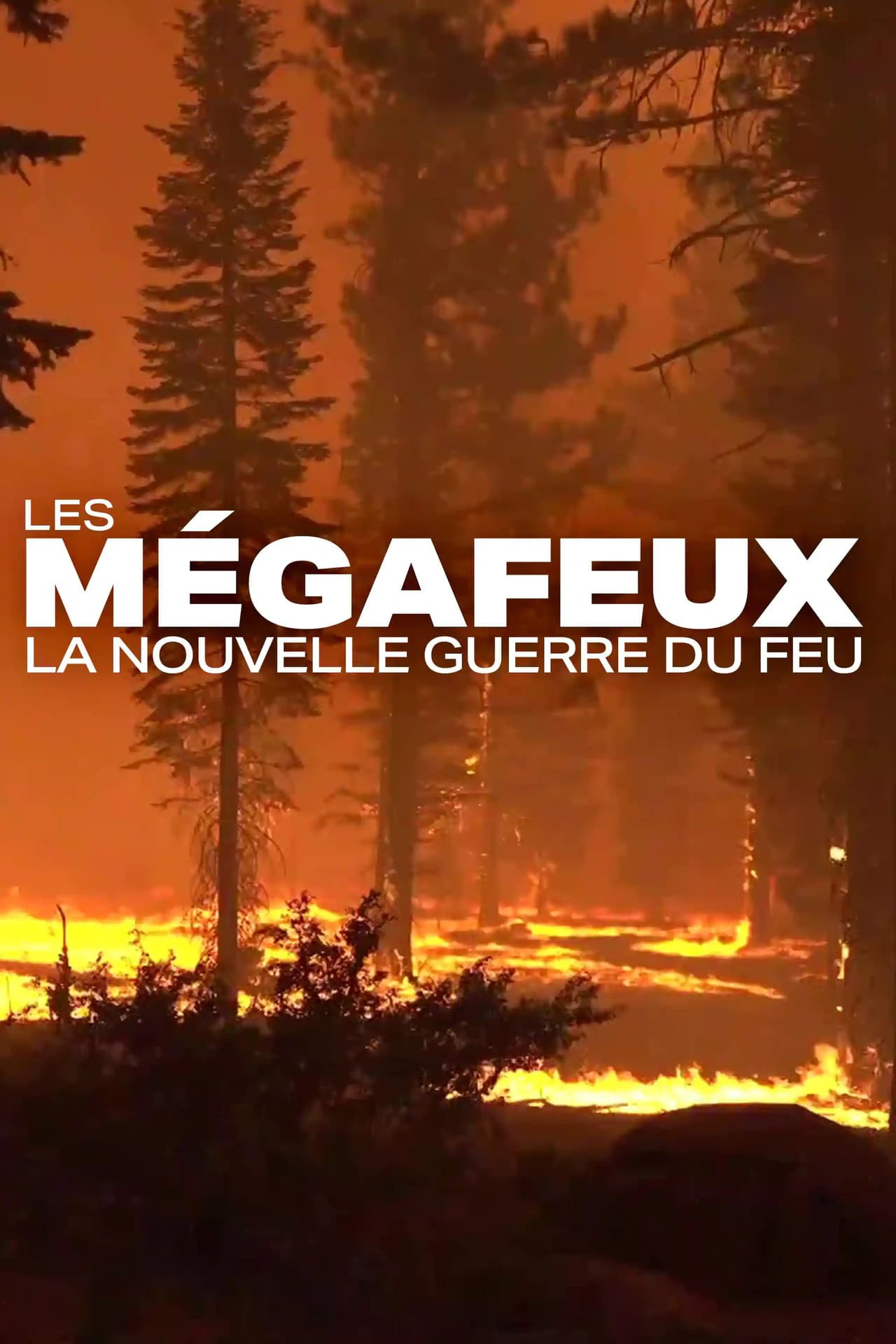 Les Mégafeux, la nouvelle guerre du feu preview 1