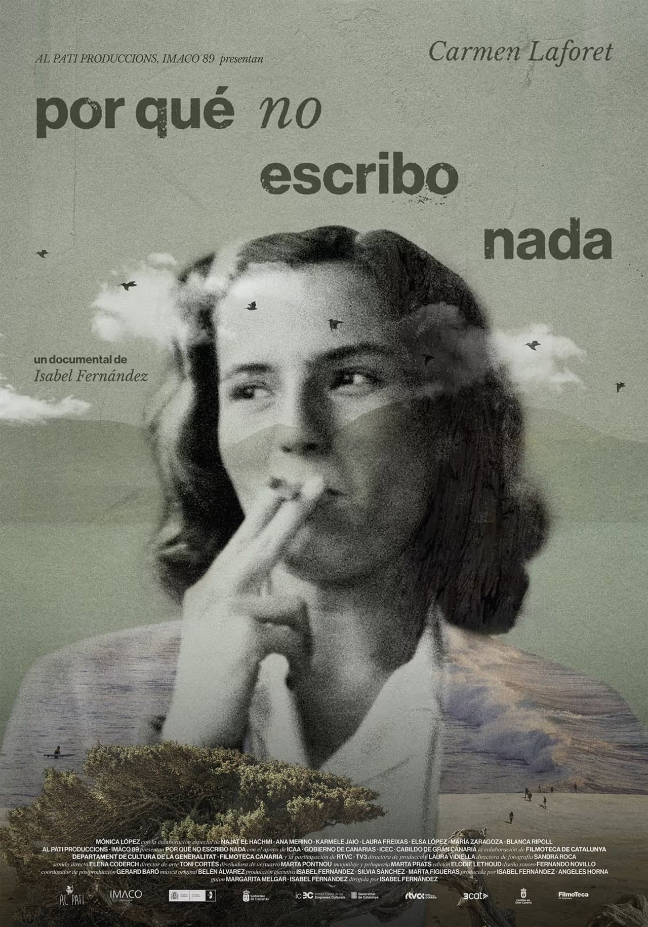 Por qué no escribo nada preview 2
