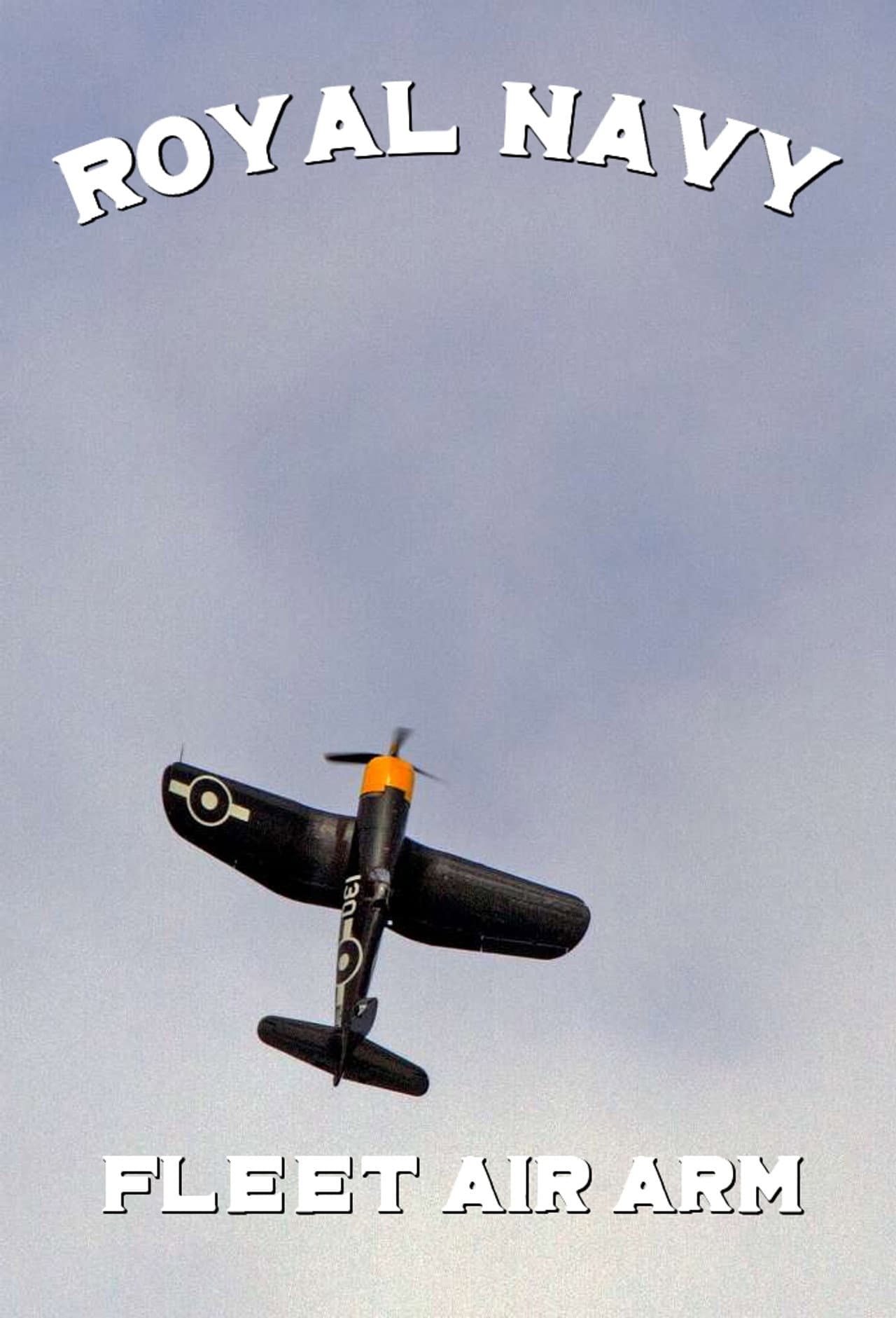 Navy Pilots: Fleet Air Arm preview 1