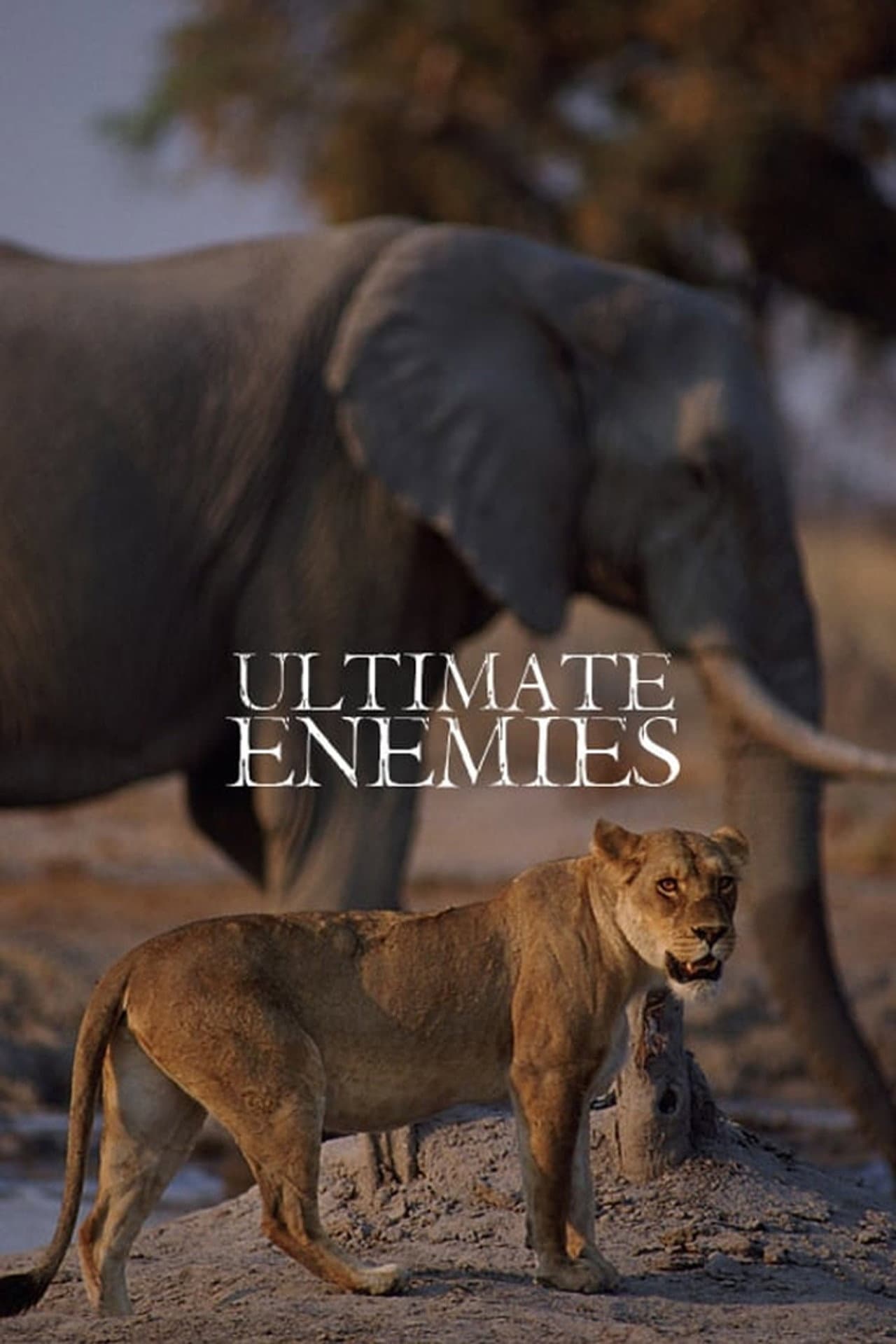 Ultimate Enemies: Revealed preview 2