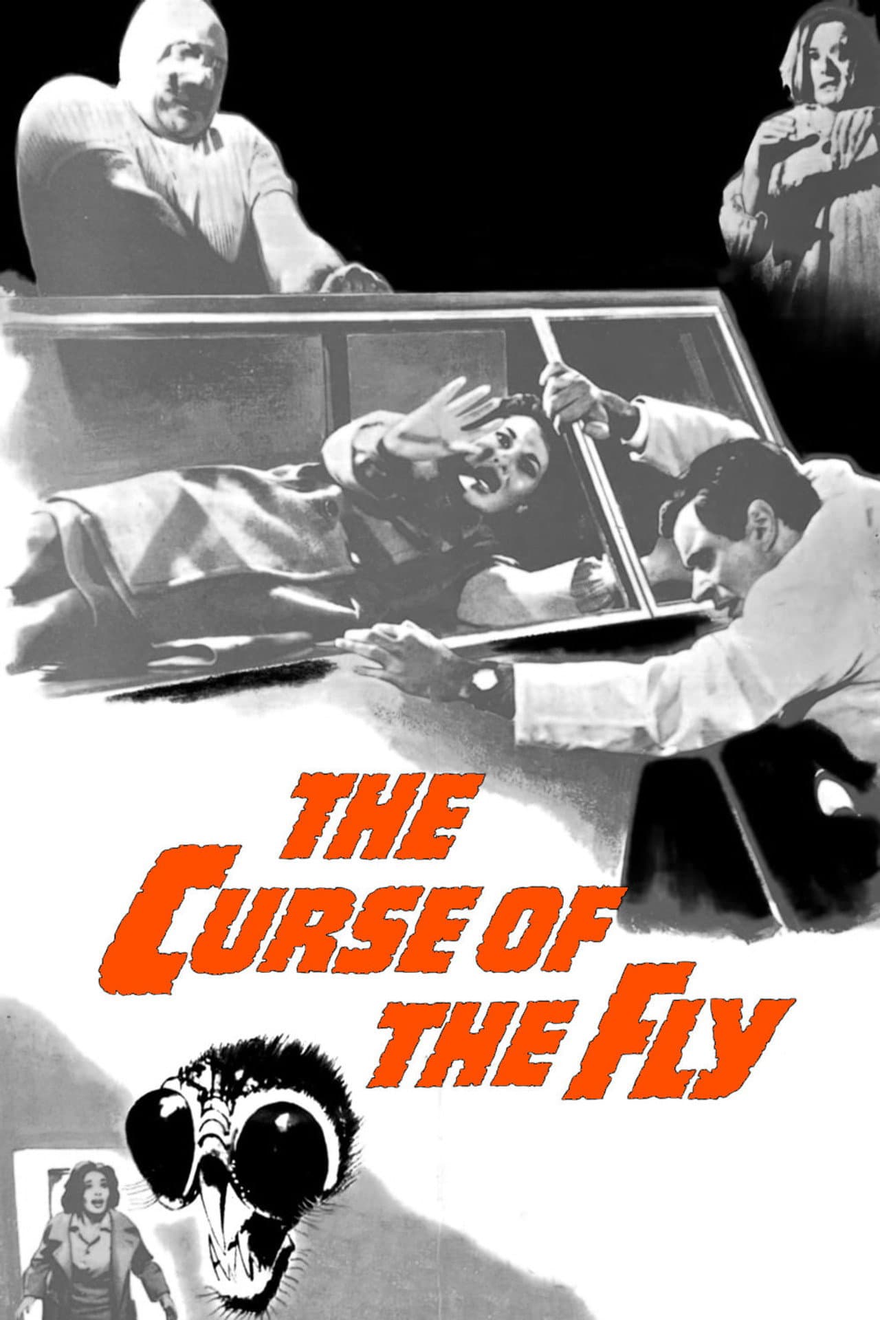 Curse of the Fly preview 2
