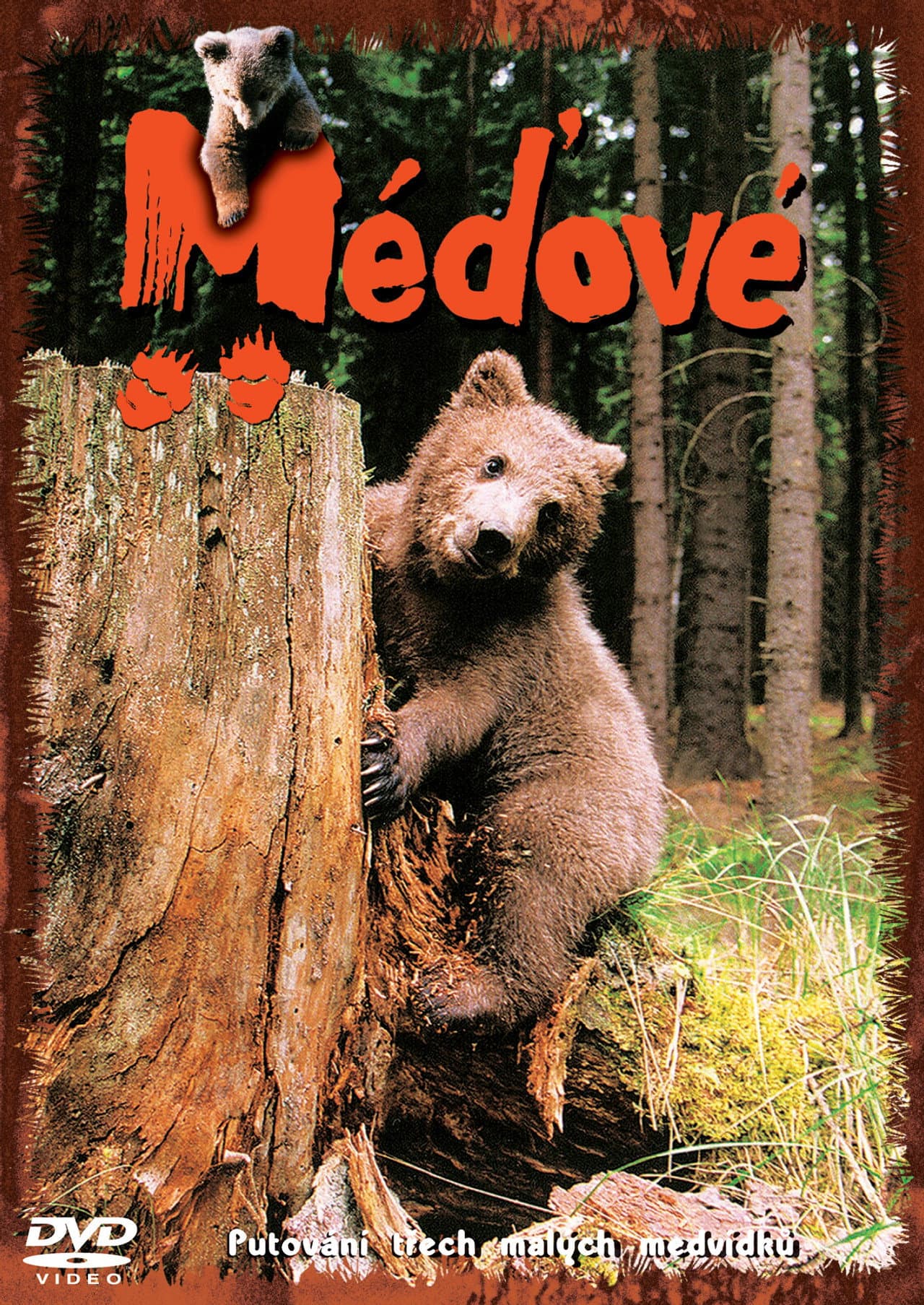 Méďové preview 2