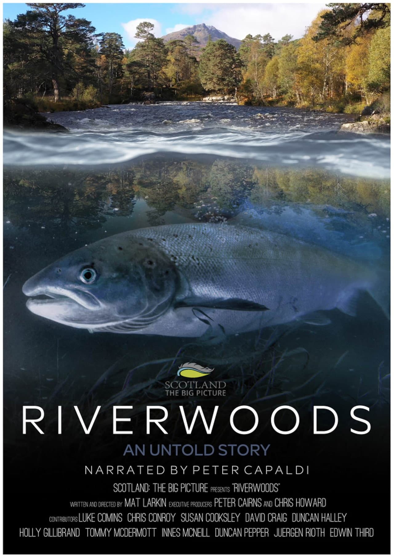 Riverwoods: An Untold Story preview 1