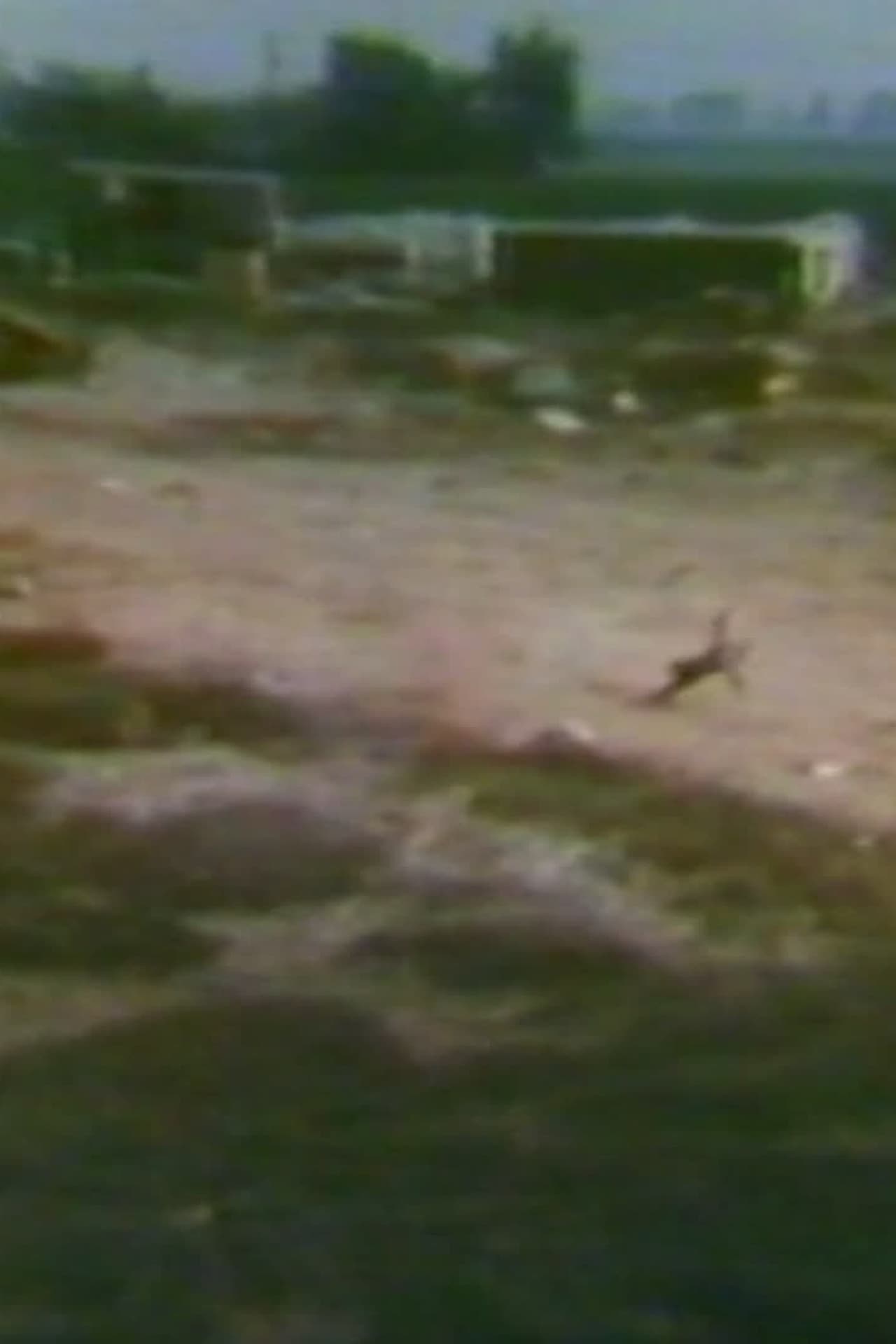 Audio and Visual Experiment 6 preview 1
