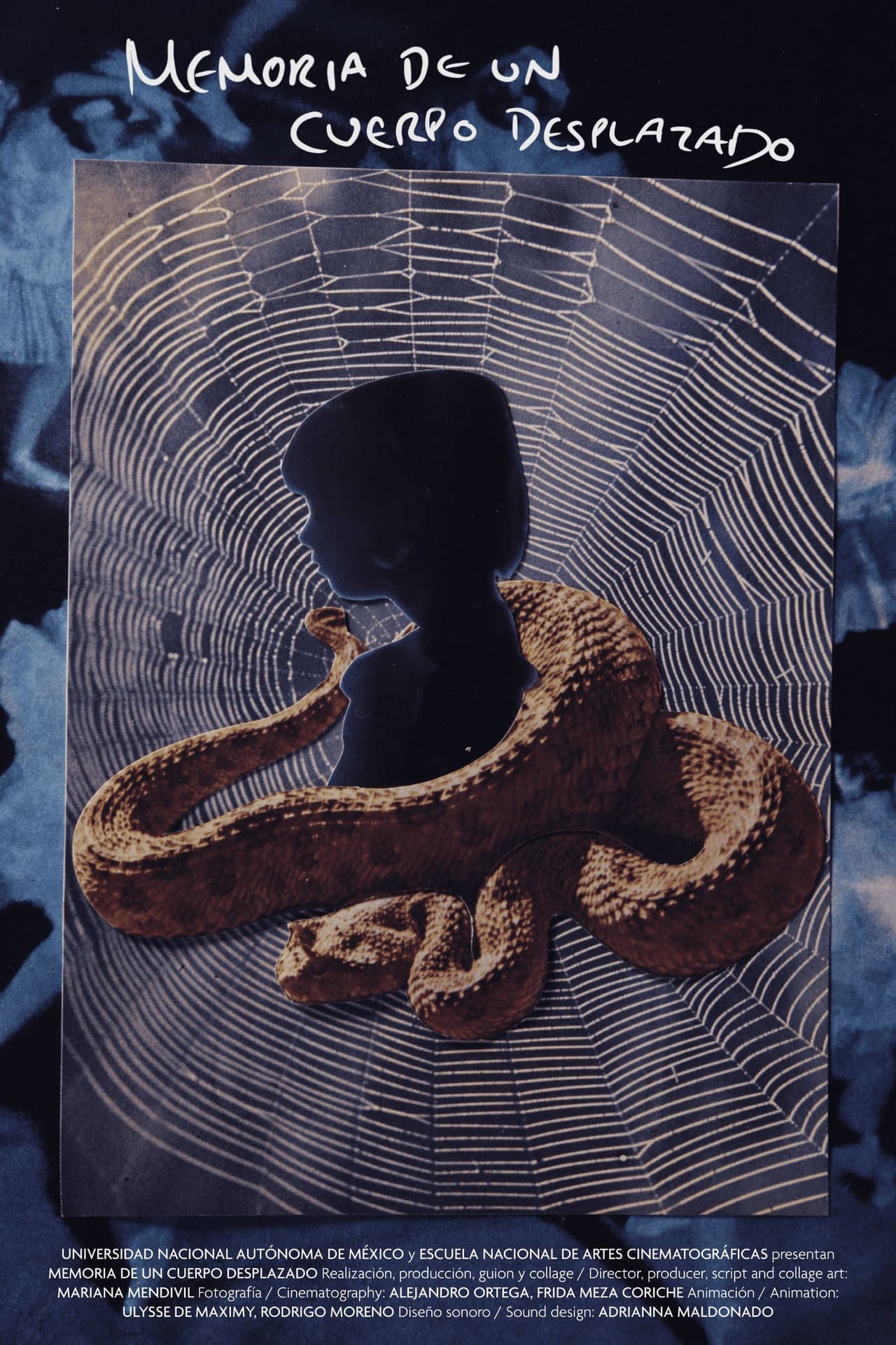 Memory of a Displaced Body preview 2