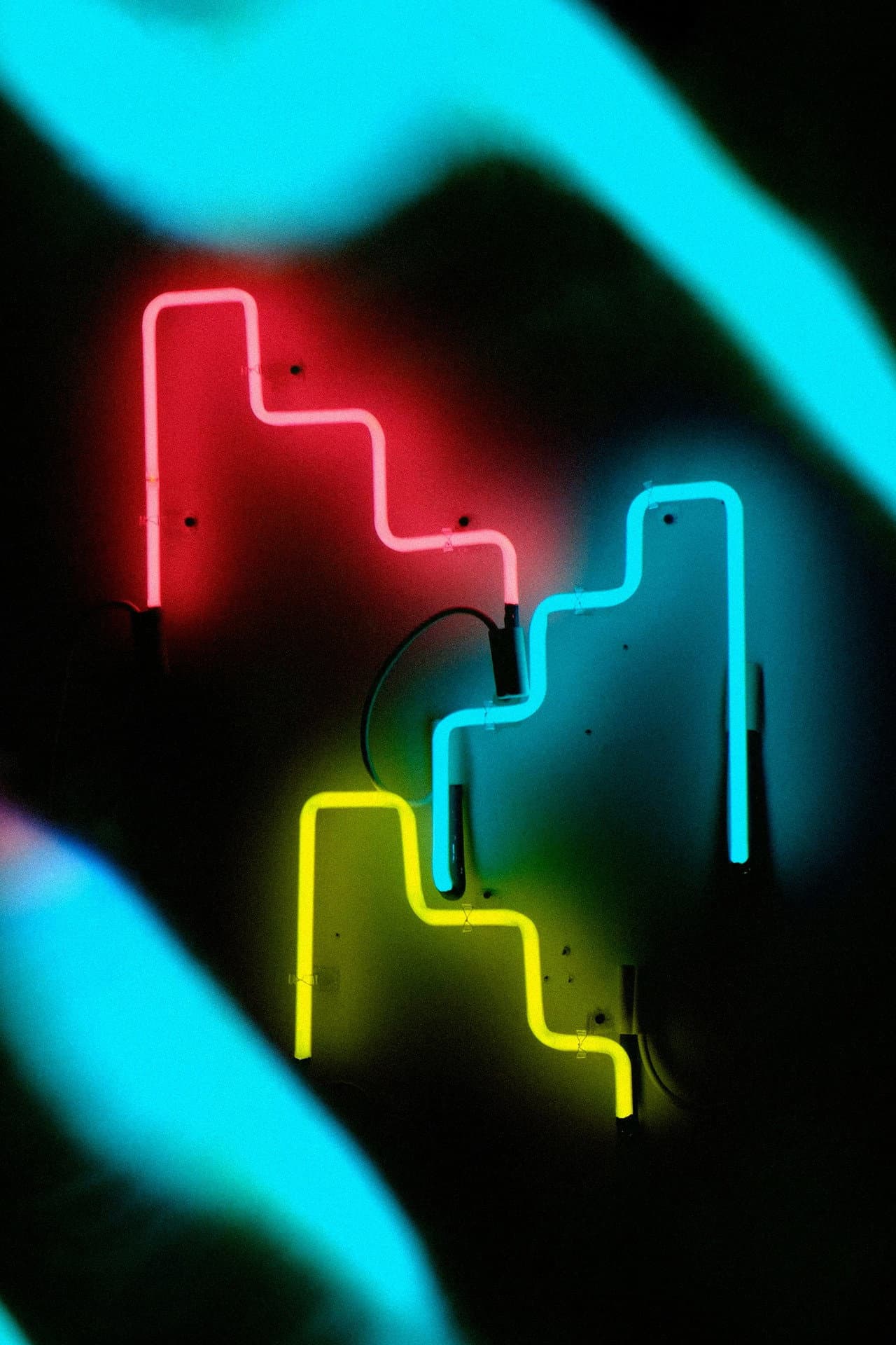 The Neon Studio of Carolina Pereira preview 1