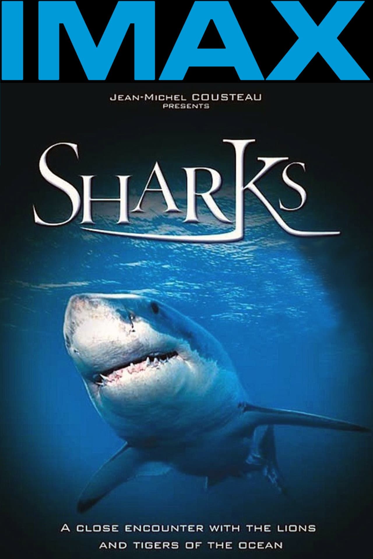 Sharks 3D preview 1