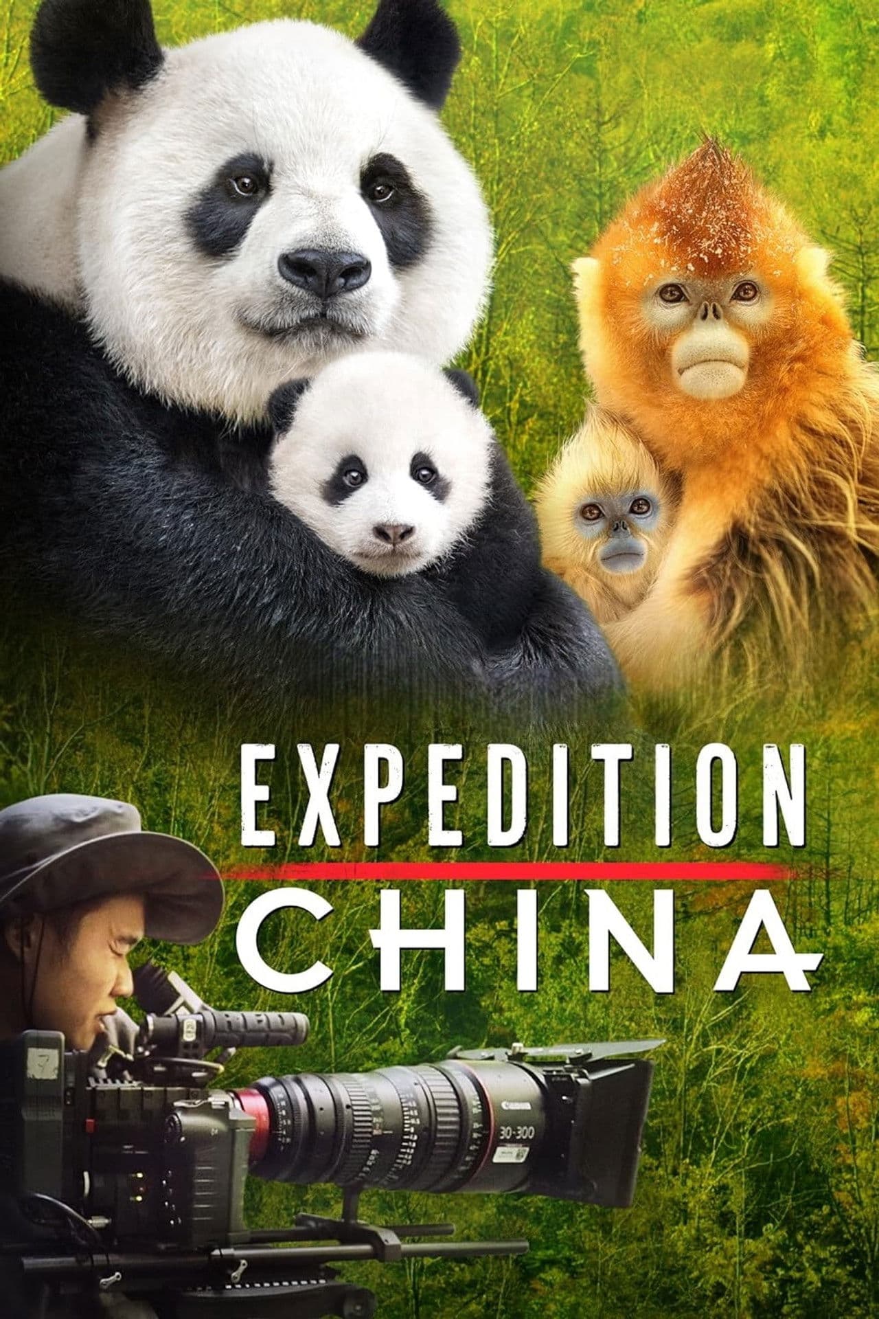 Expedition China preview 2