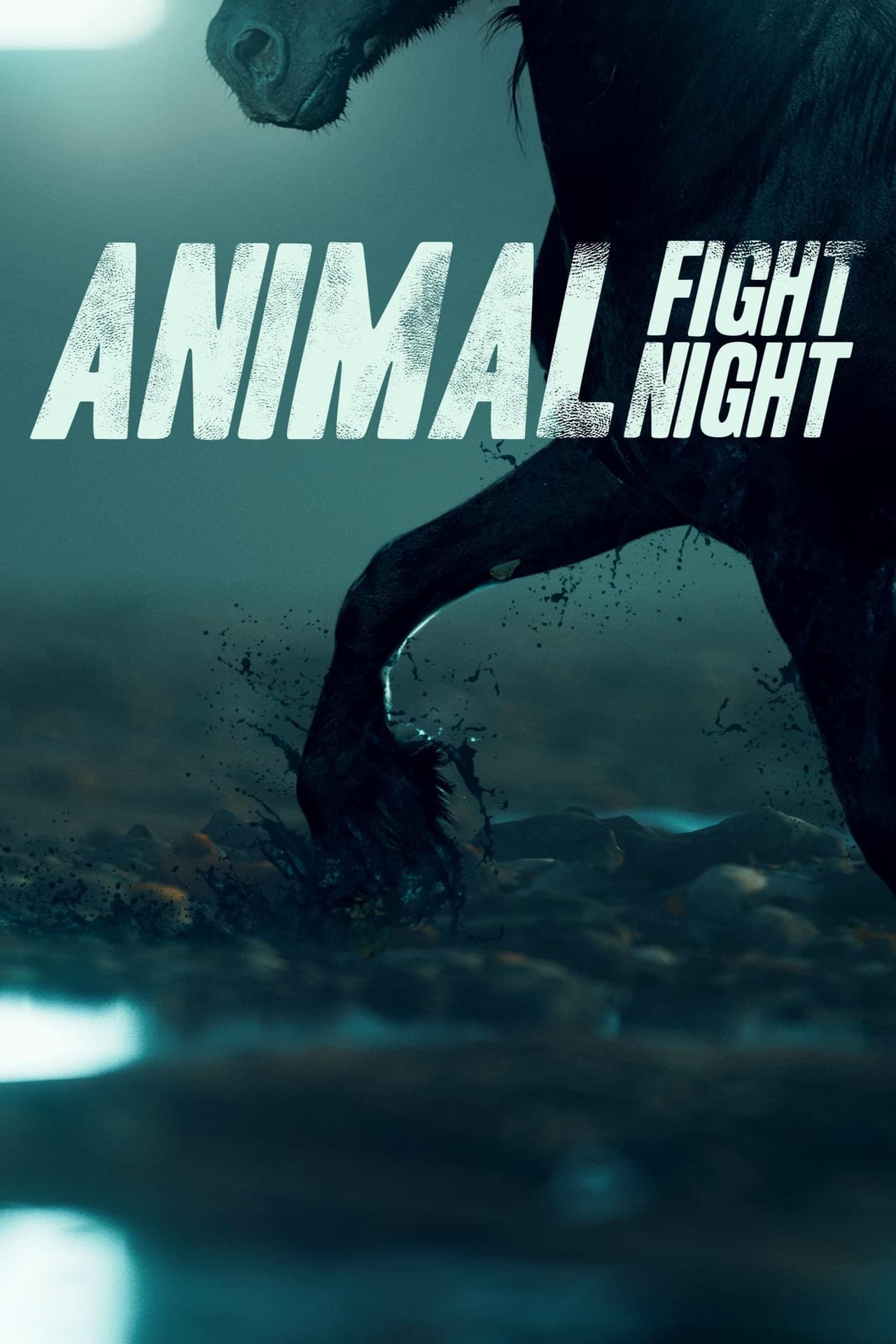 Animal Fight Night preview 2