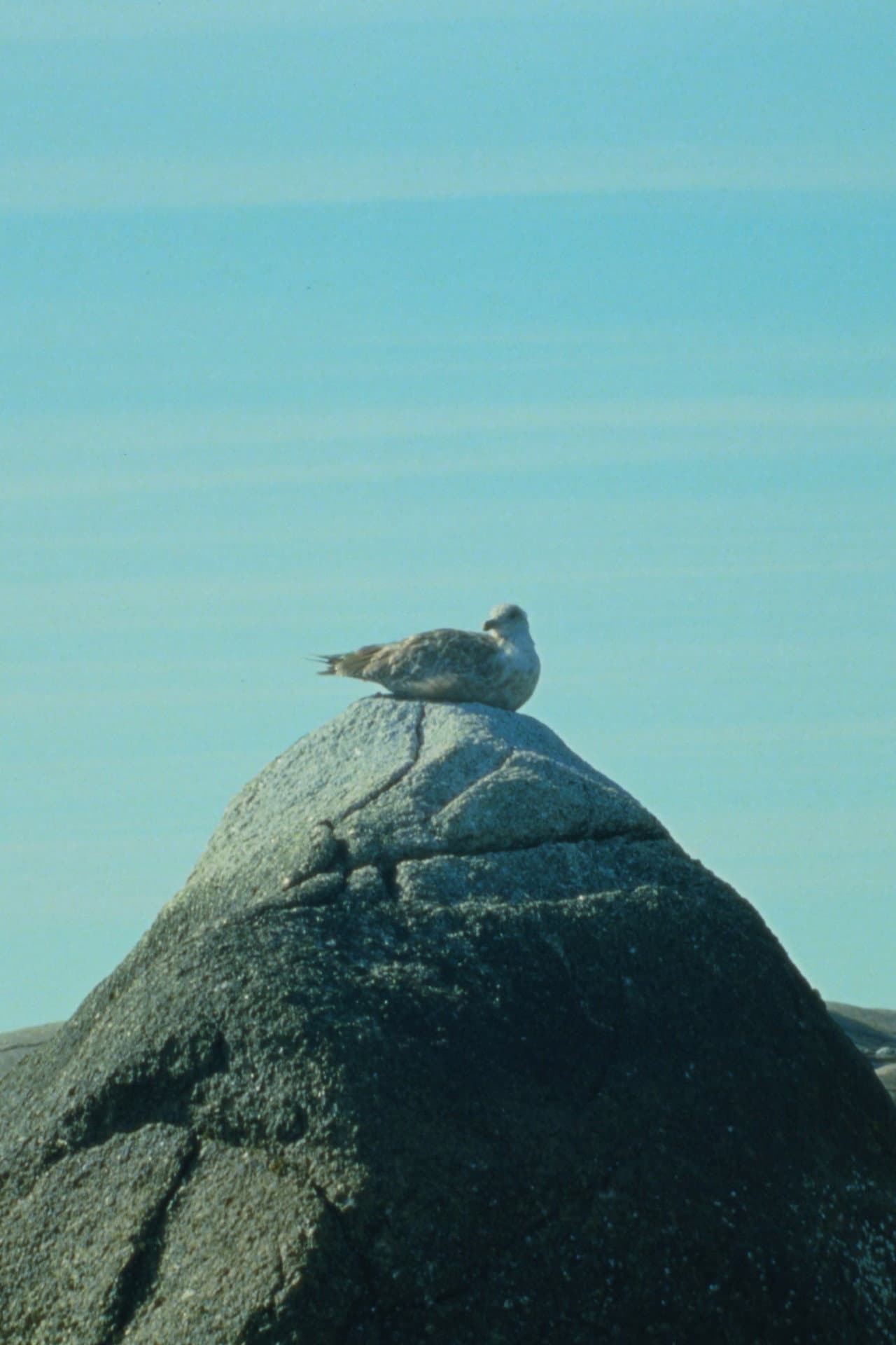 Tide Pools preview 2