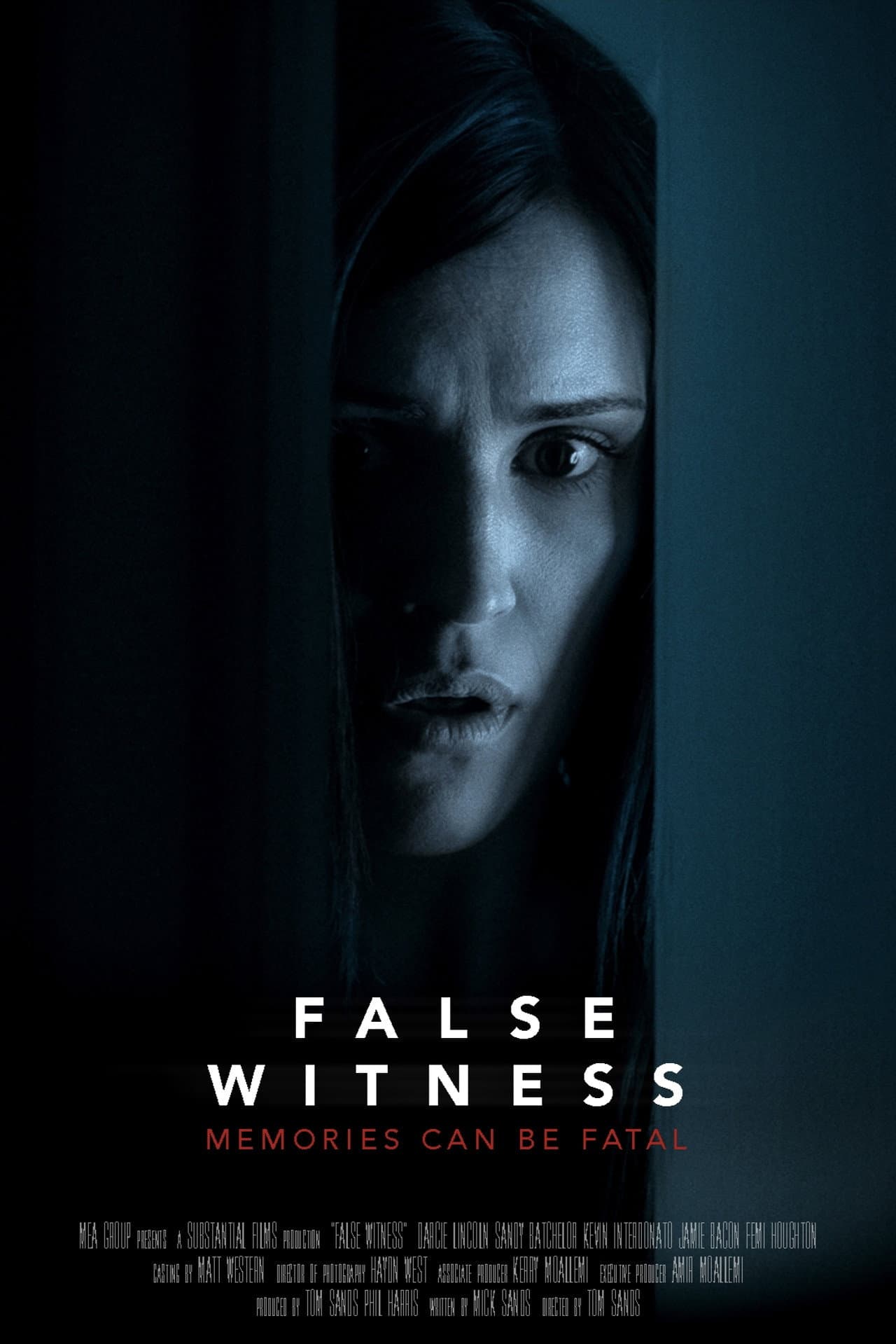 False Witness preview 2