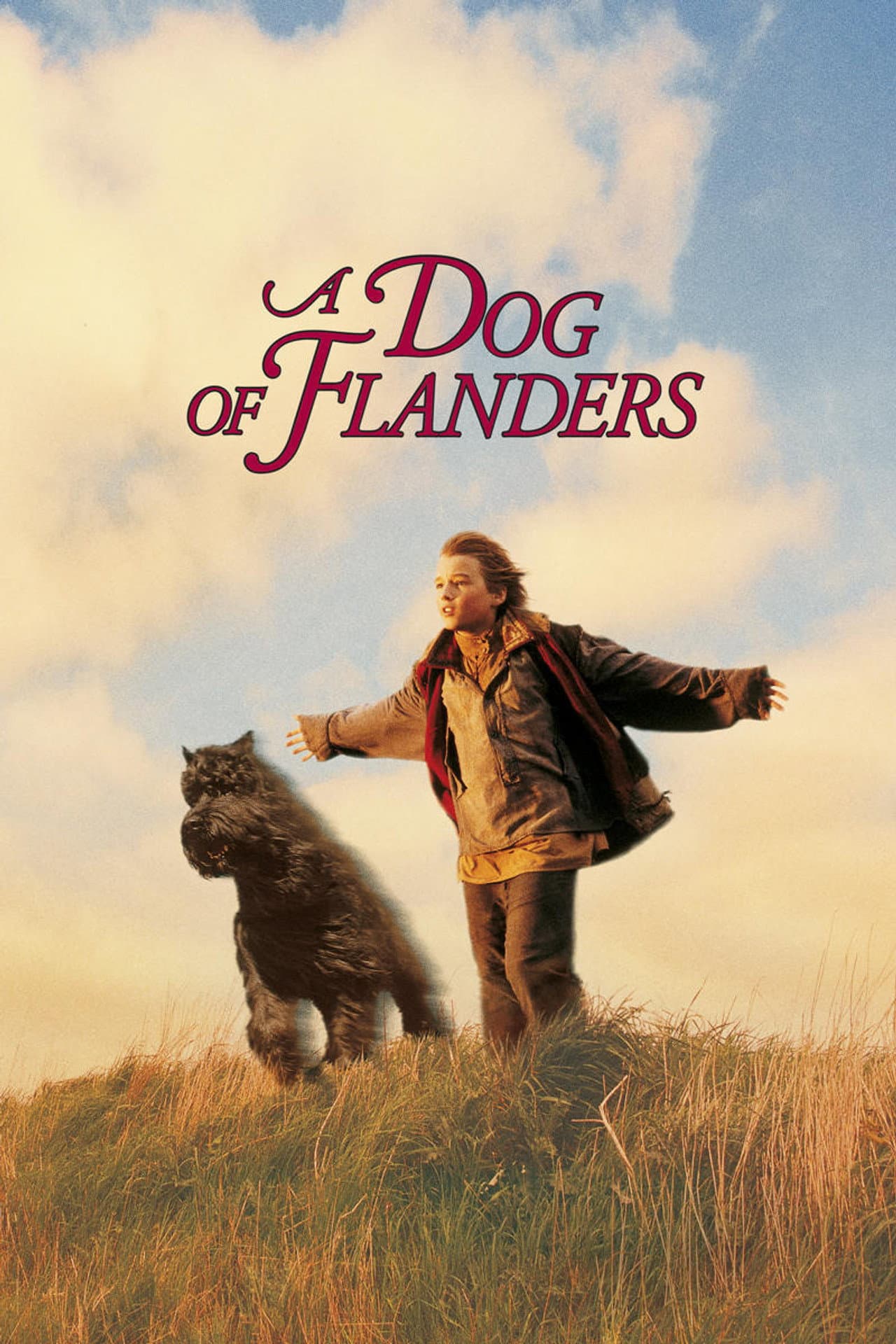 A Dog of Flanders preview 2