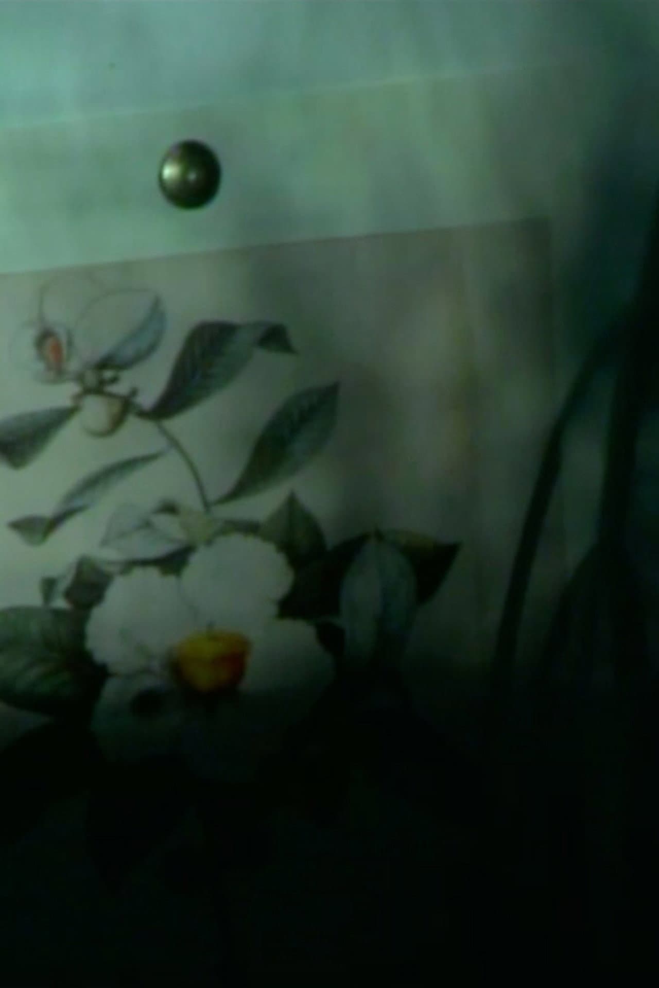 out of touch (franklinia still life) preview 1