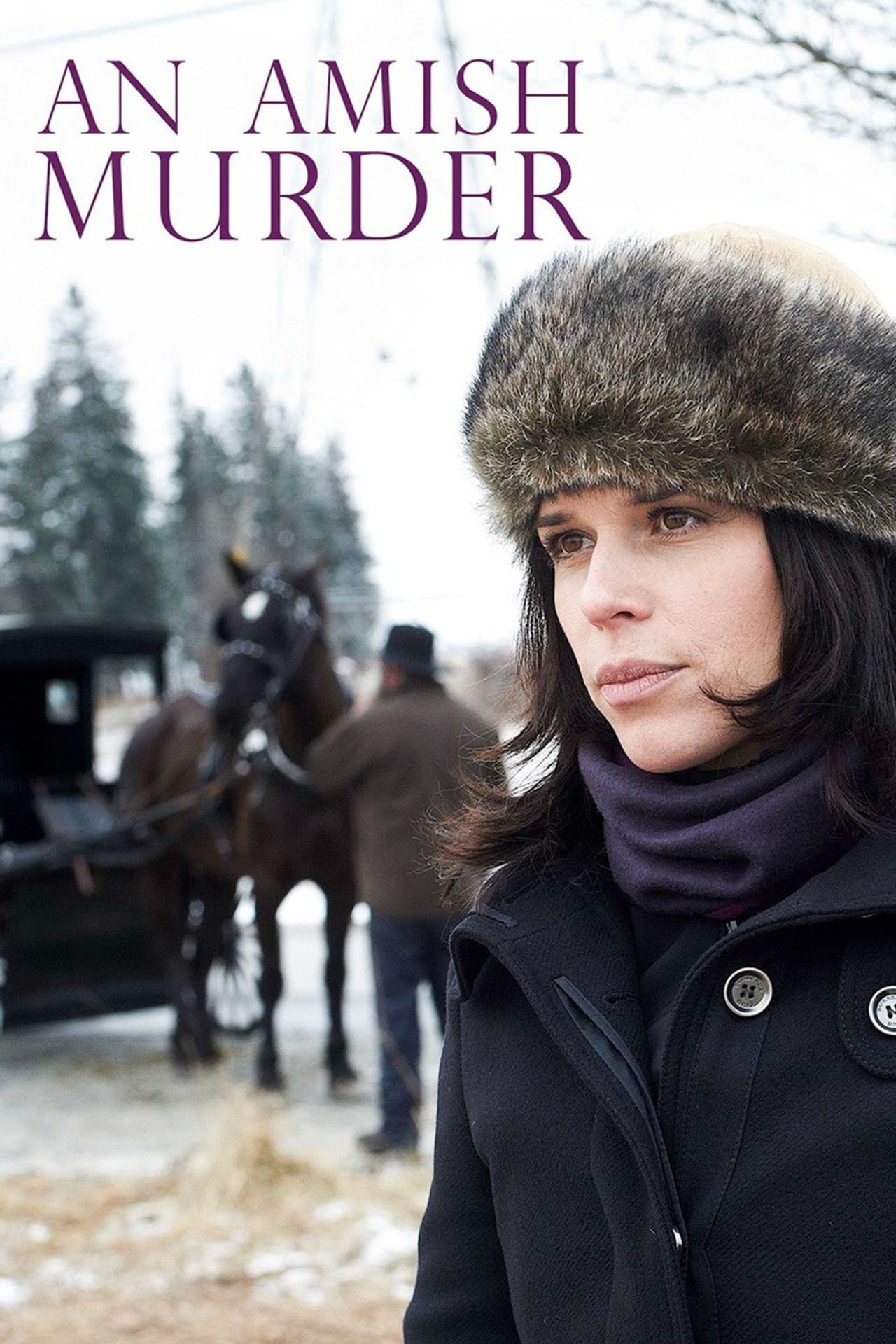 An Amish Murder preview 2