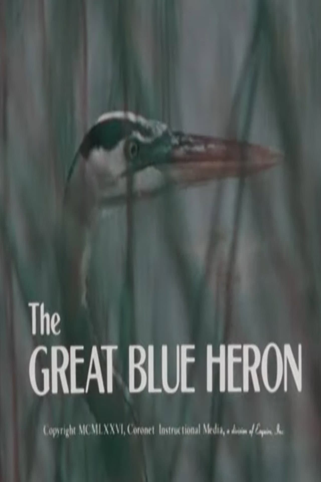 The Great Blue Heron preview 2