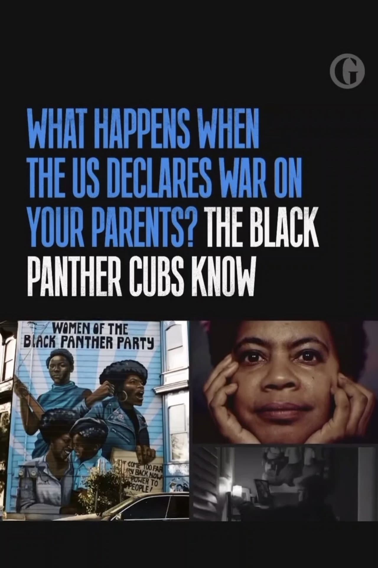 The Black Panther Cubs: when the revolution doesn't come preview 1
