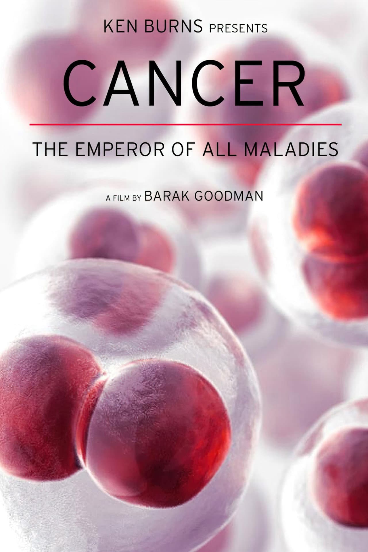 Cancer: The Emperor of All Maladies preview 2