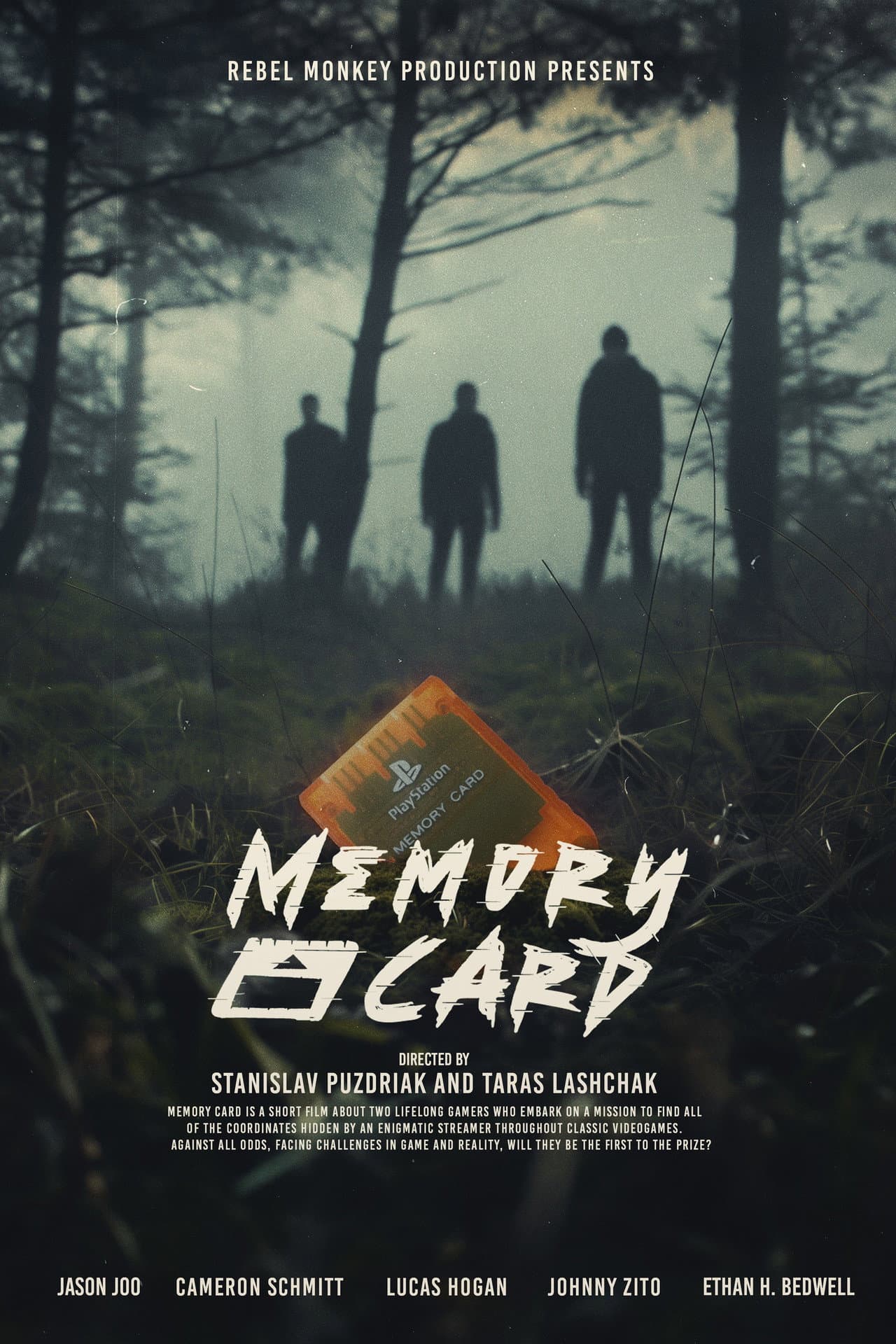 Memory Card preview 2