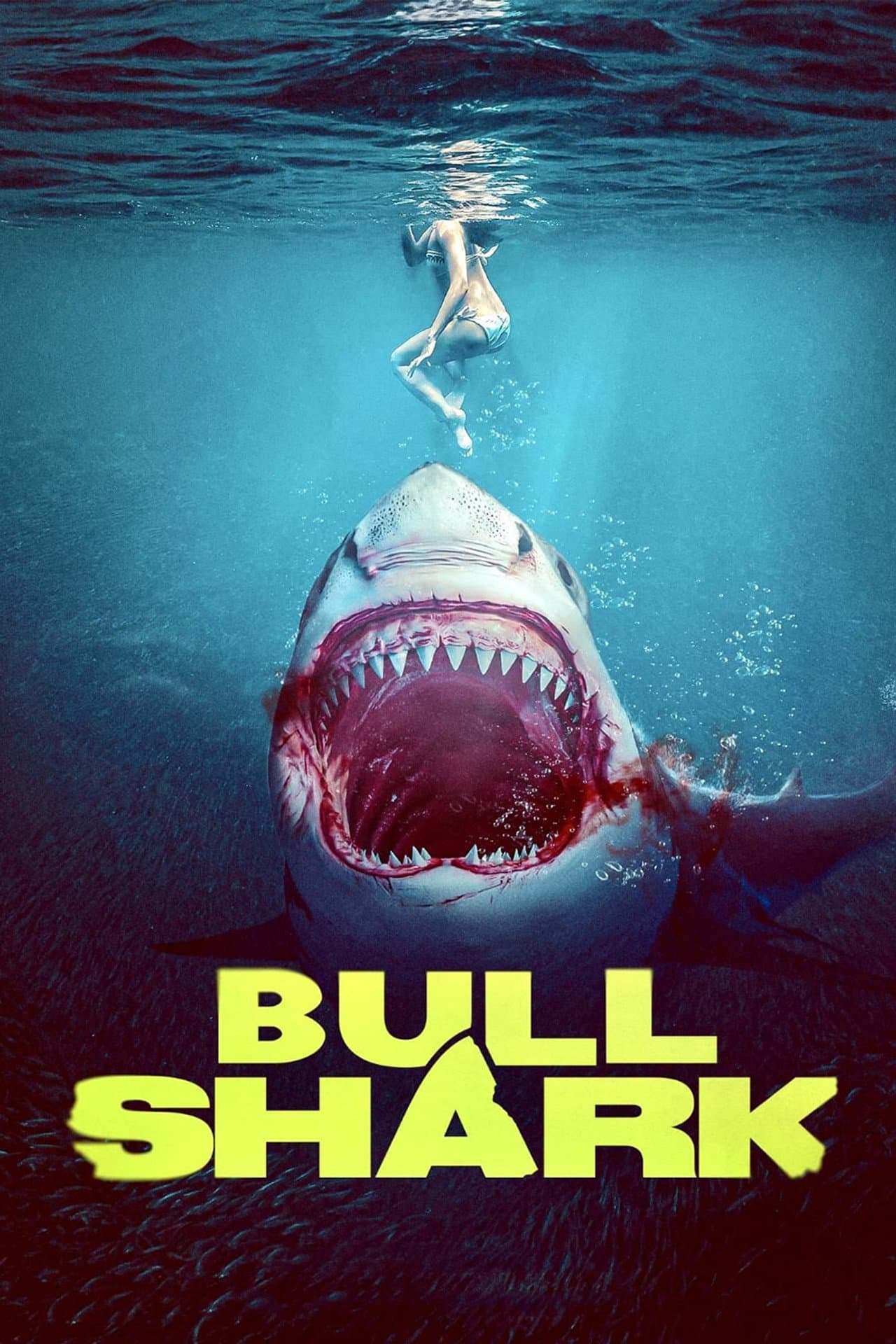 Bull Shark preview 2