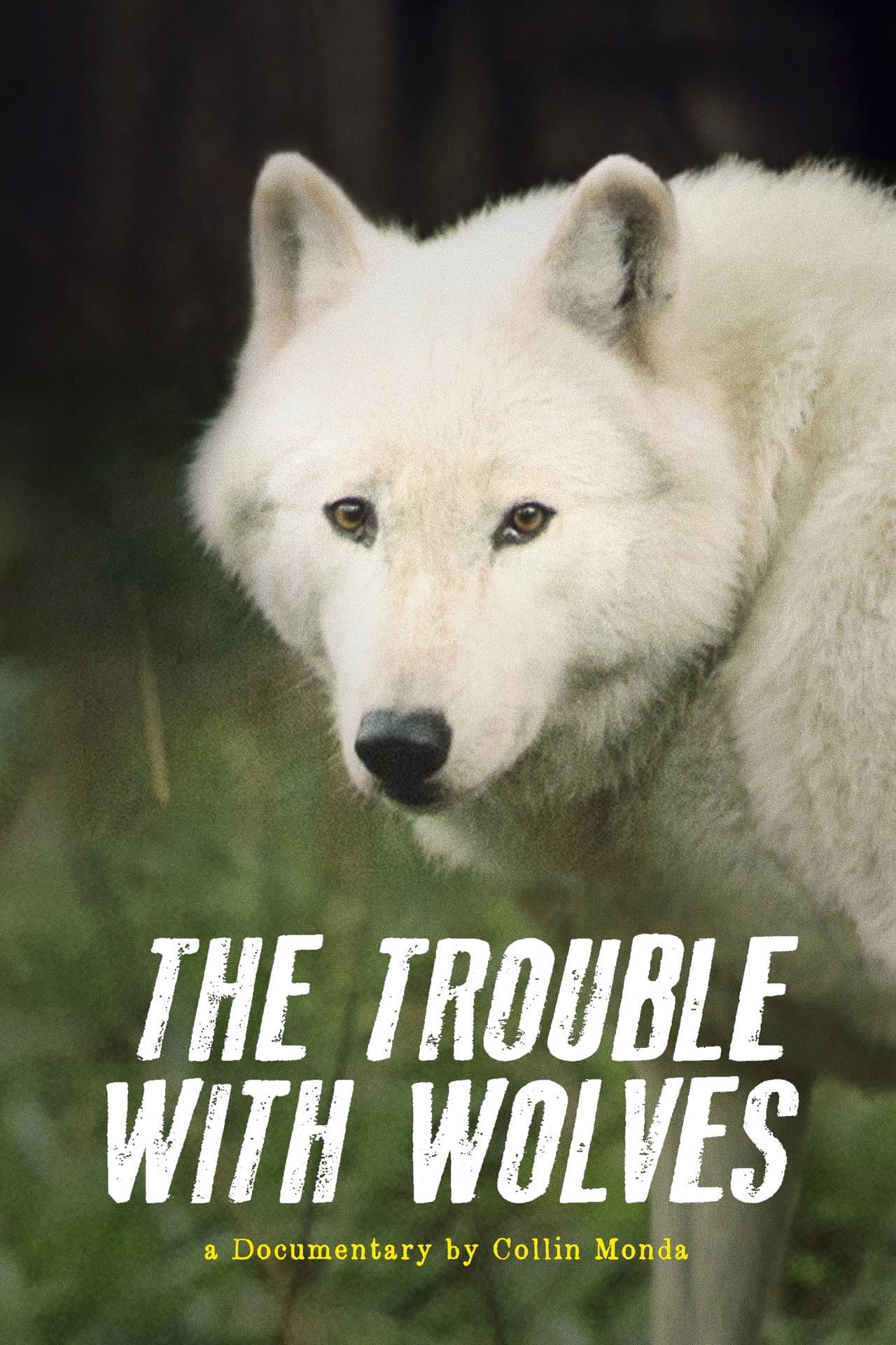 The Trouble with Wolves preview 2