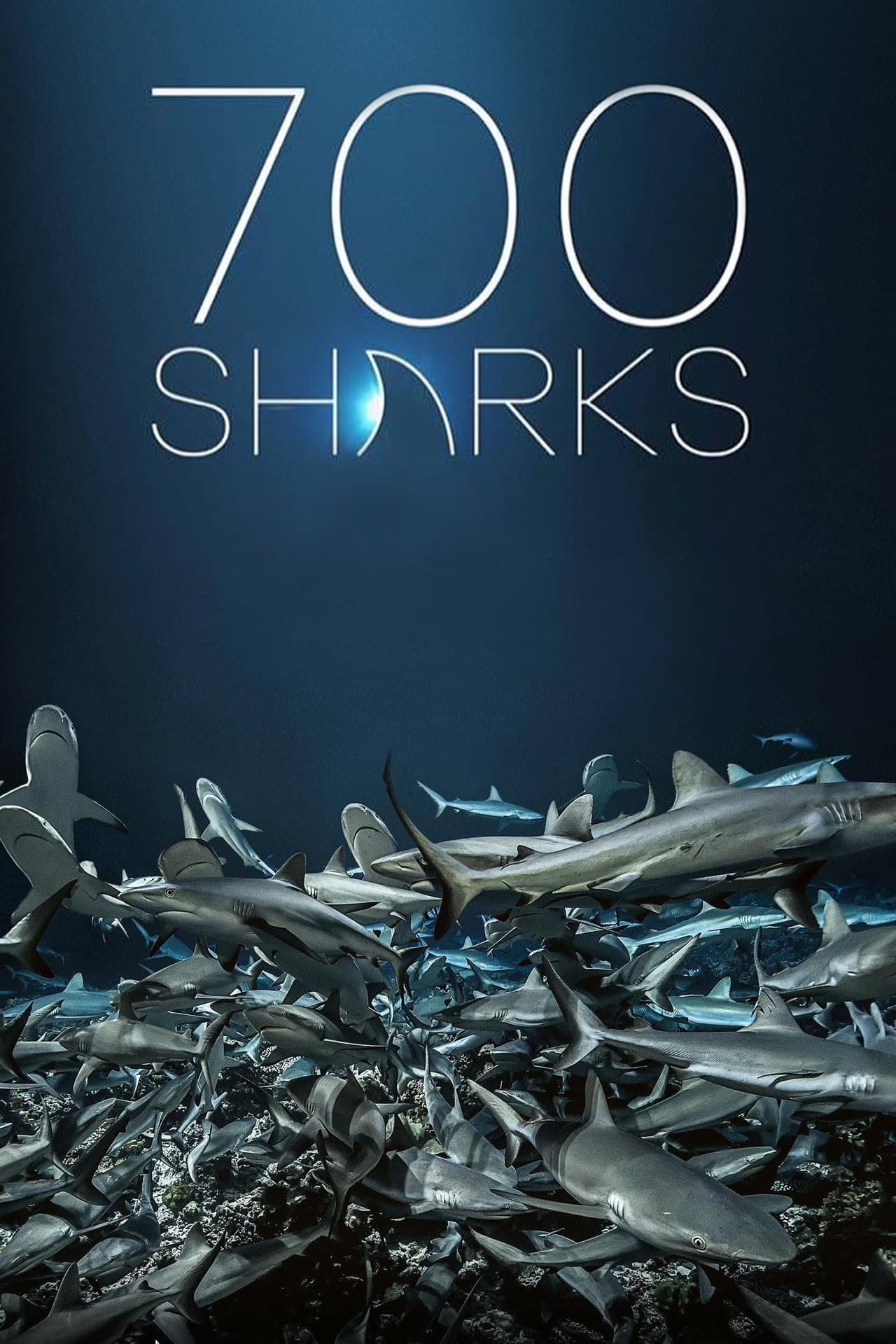 700 Sharks preview 2