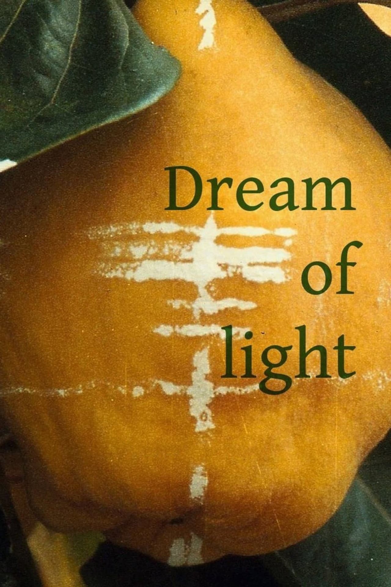 Dream of Light preview 2