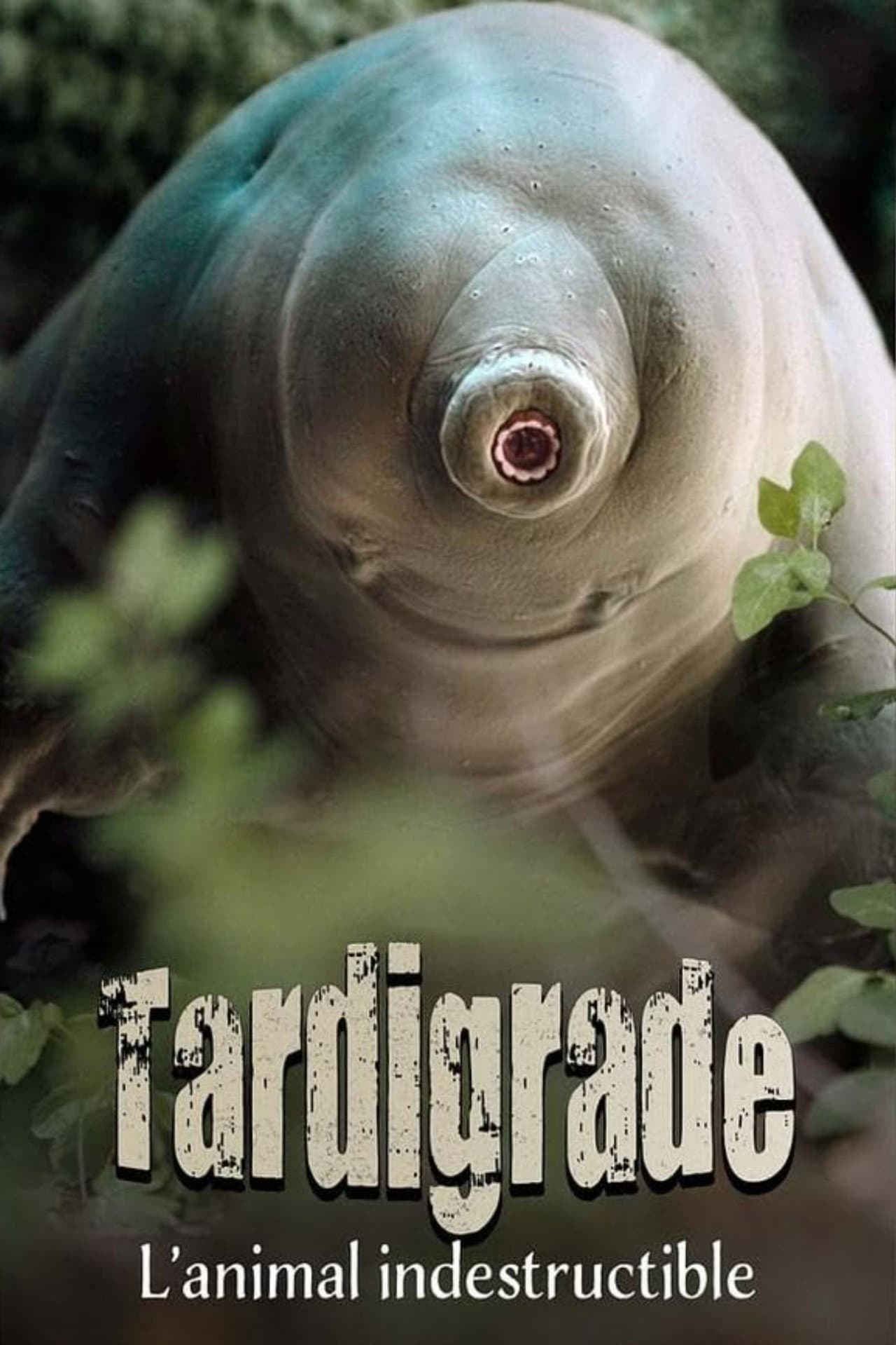Tardigrade, l'animal indestructible preview 2