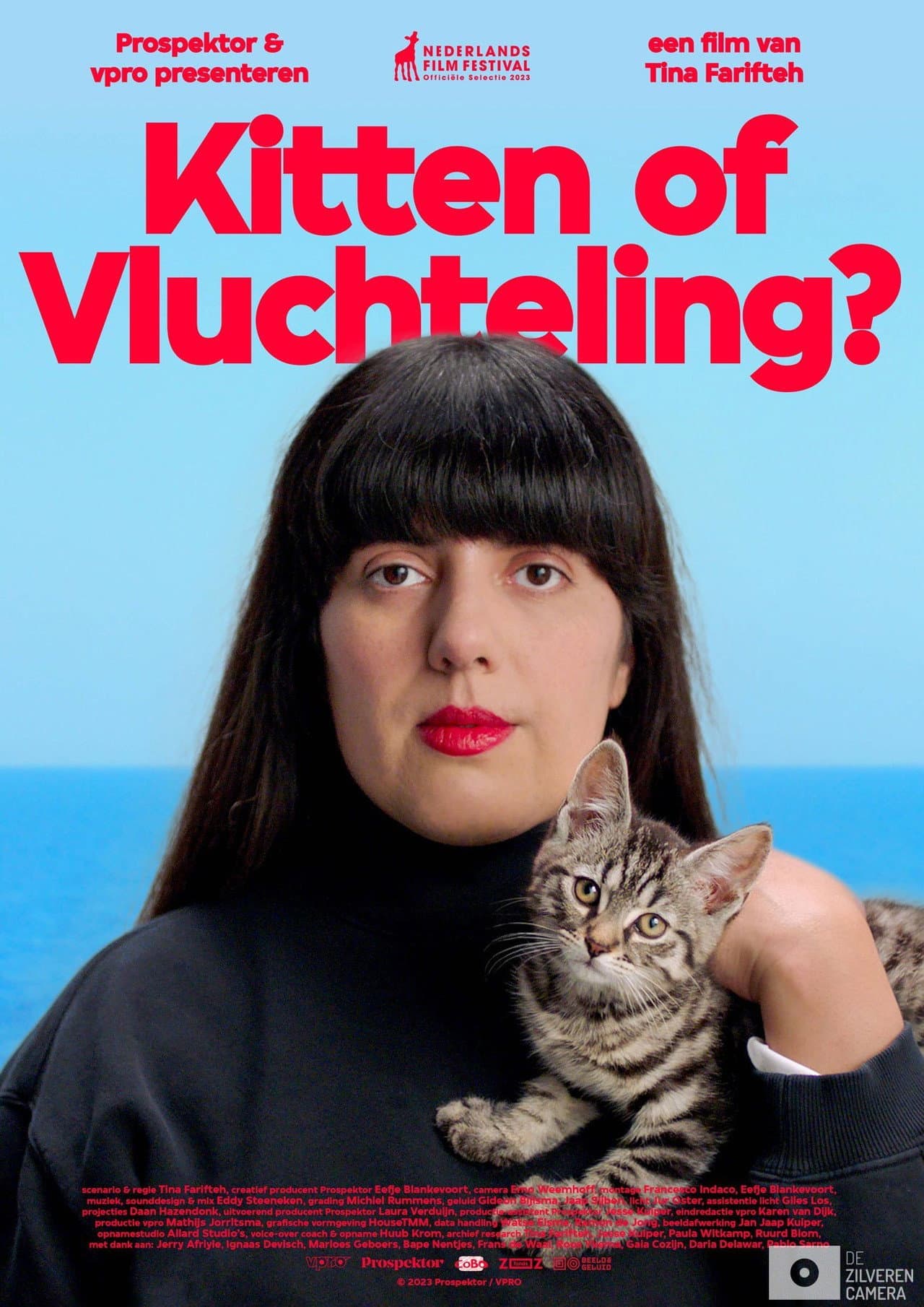 Kitten of vluchteling? preview 2