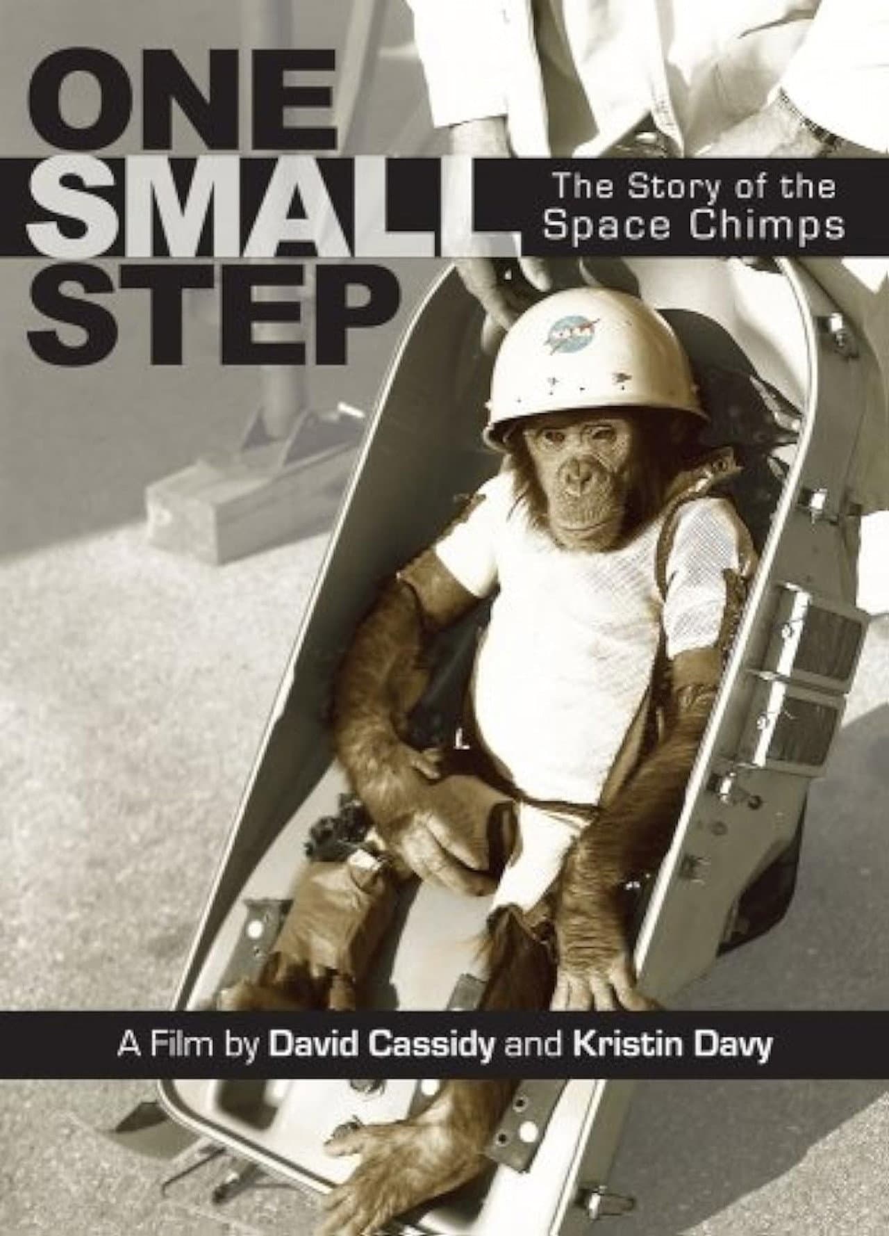 One Small Step: The Story of the Space Chimps preview 2