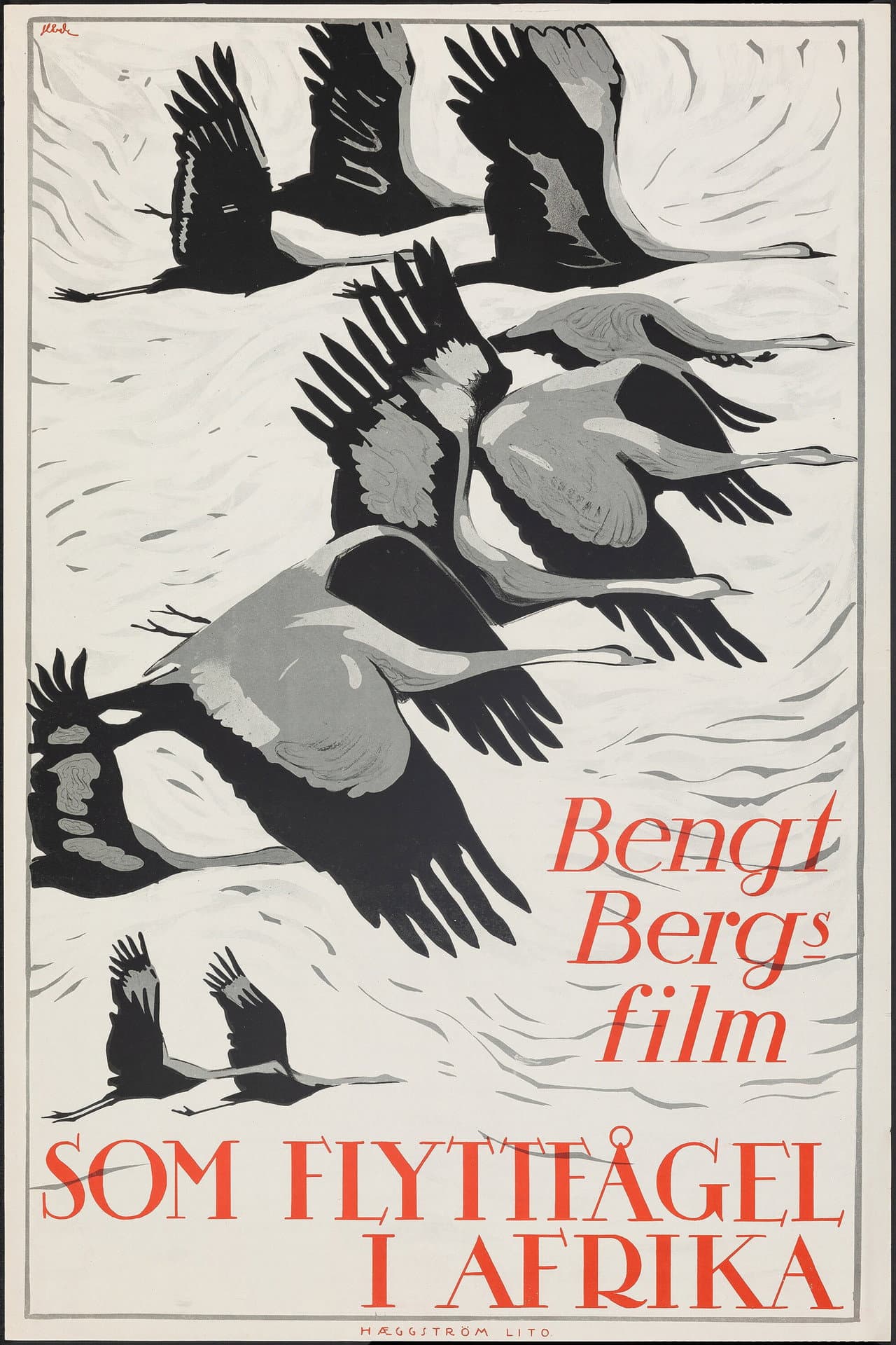 As a Migratory Bird in Africa preview 1