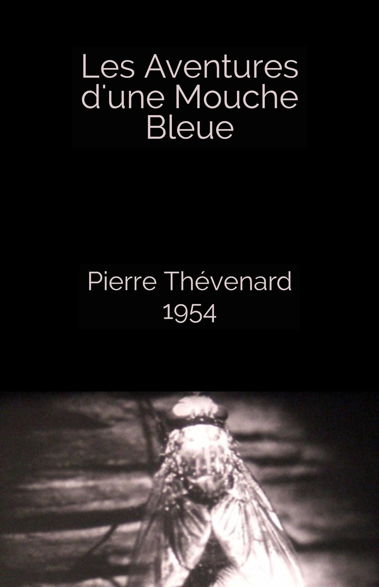 The Adventures of a Blue Fly preview 1