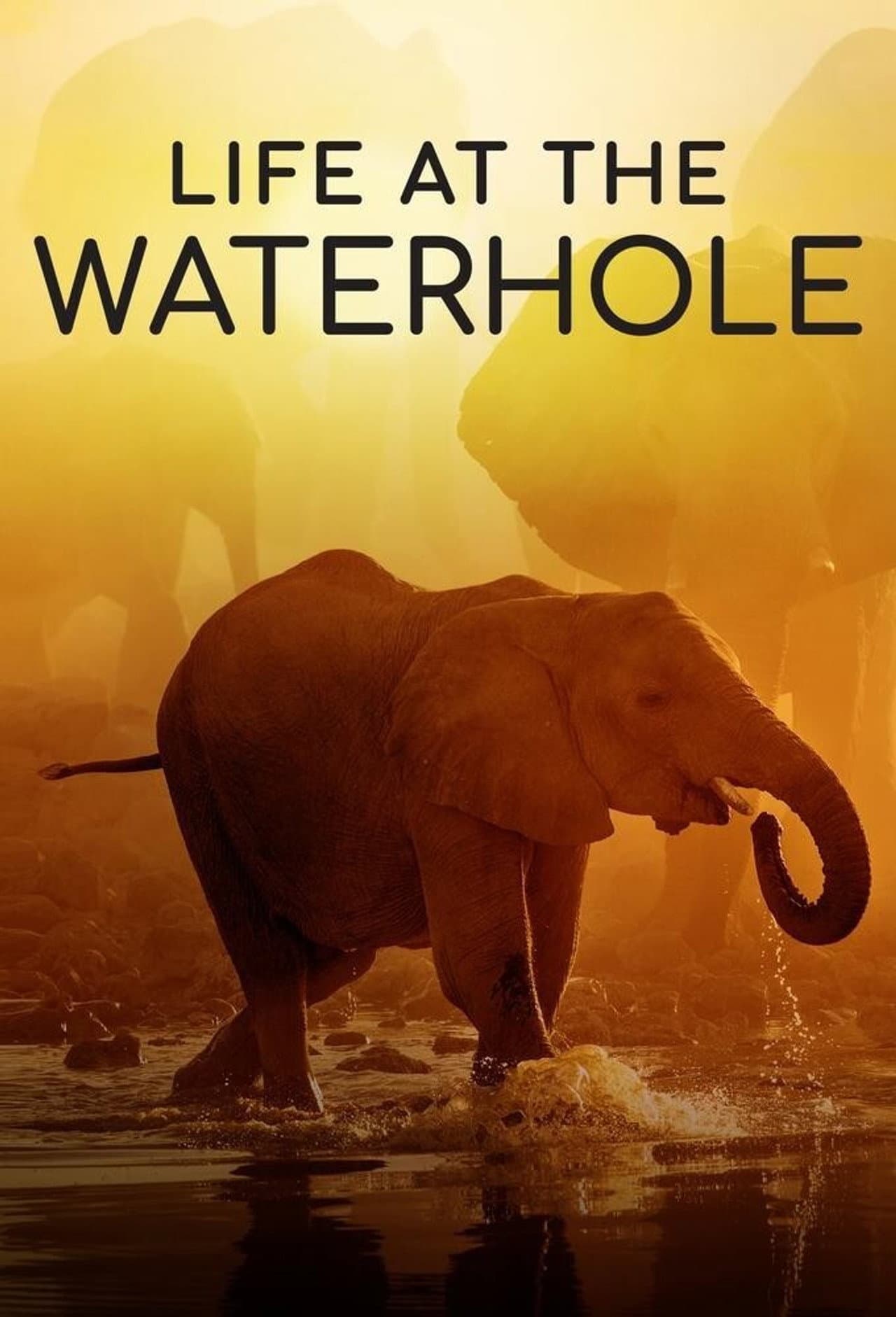 Life at the Waterhole preview 2