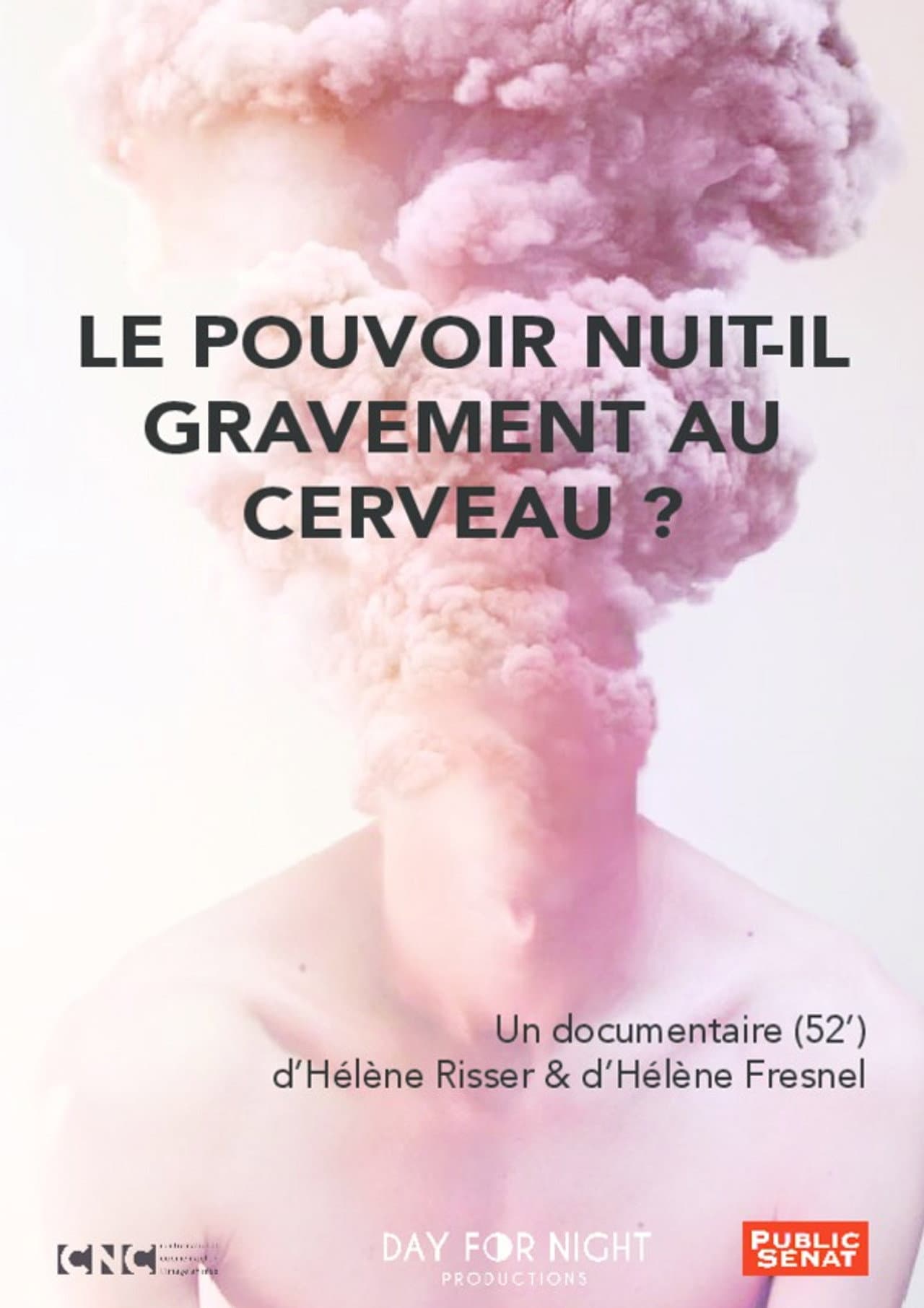 Le pouvoir nuit-il gravement au cerveau ? preview 2