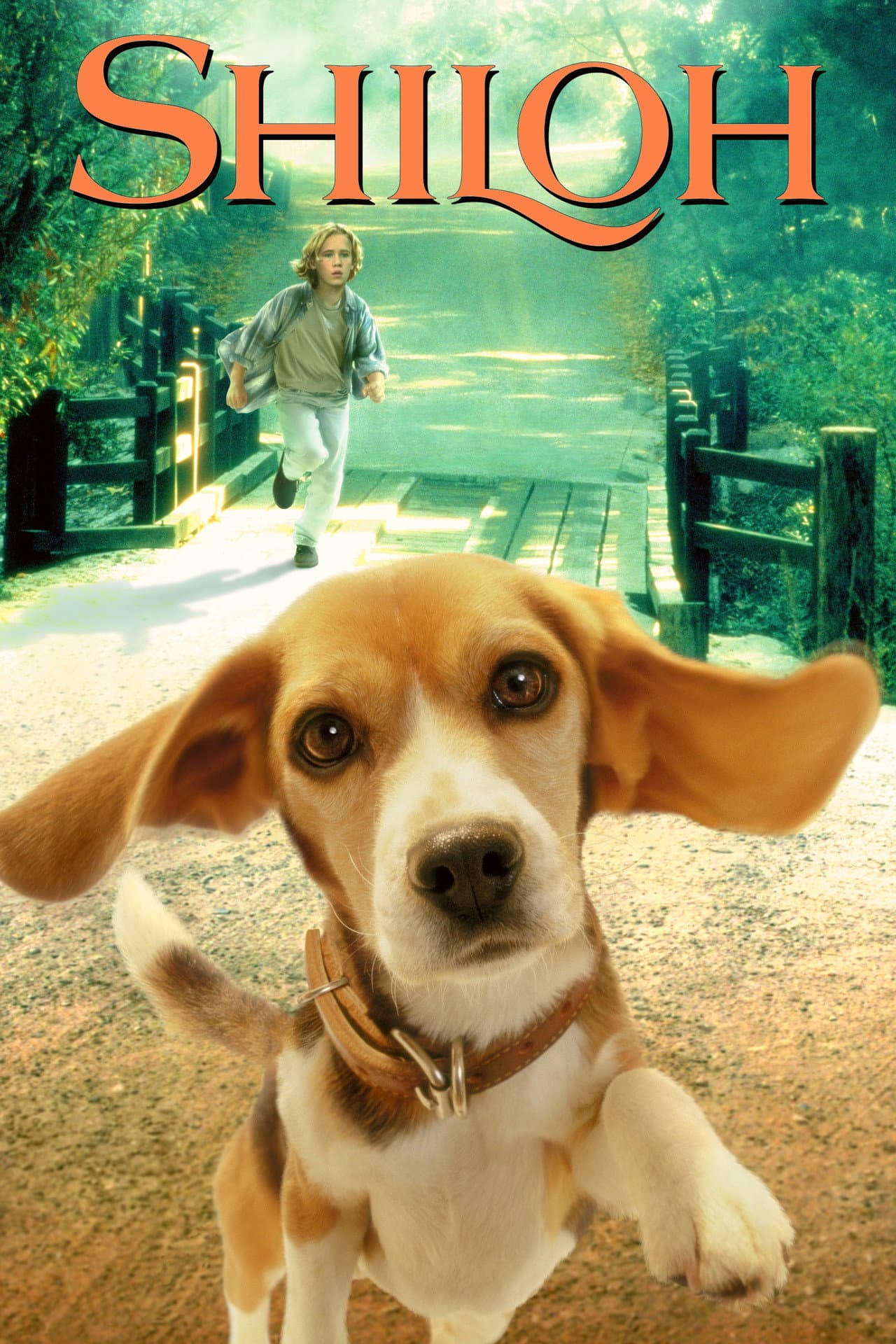 Shiloh preview 2