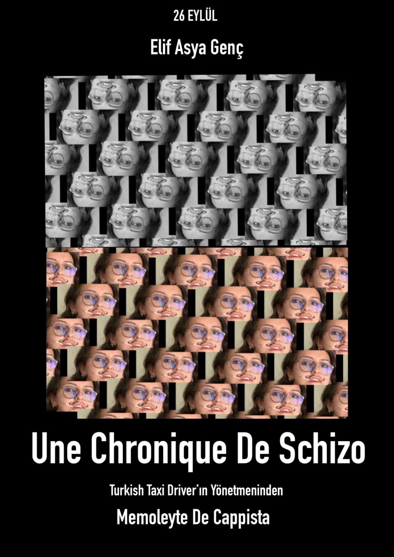 Chronic of Schizo preview 1