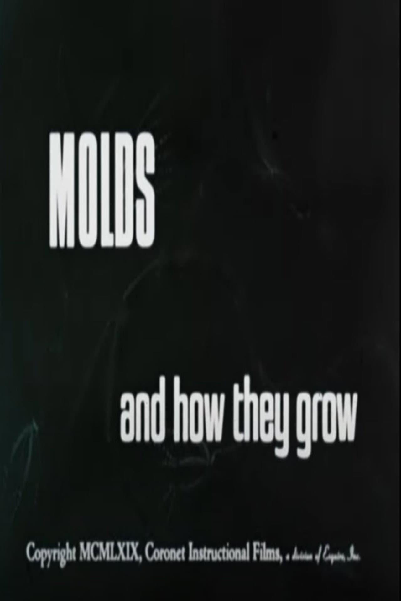 Molds and How They Grow preview 2