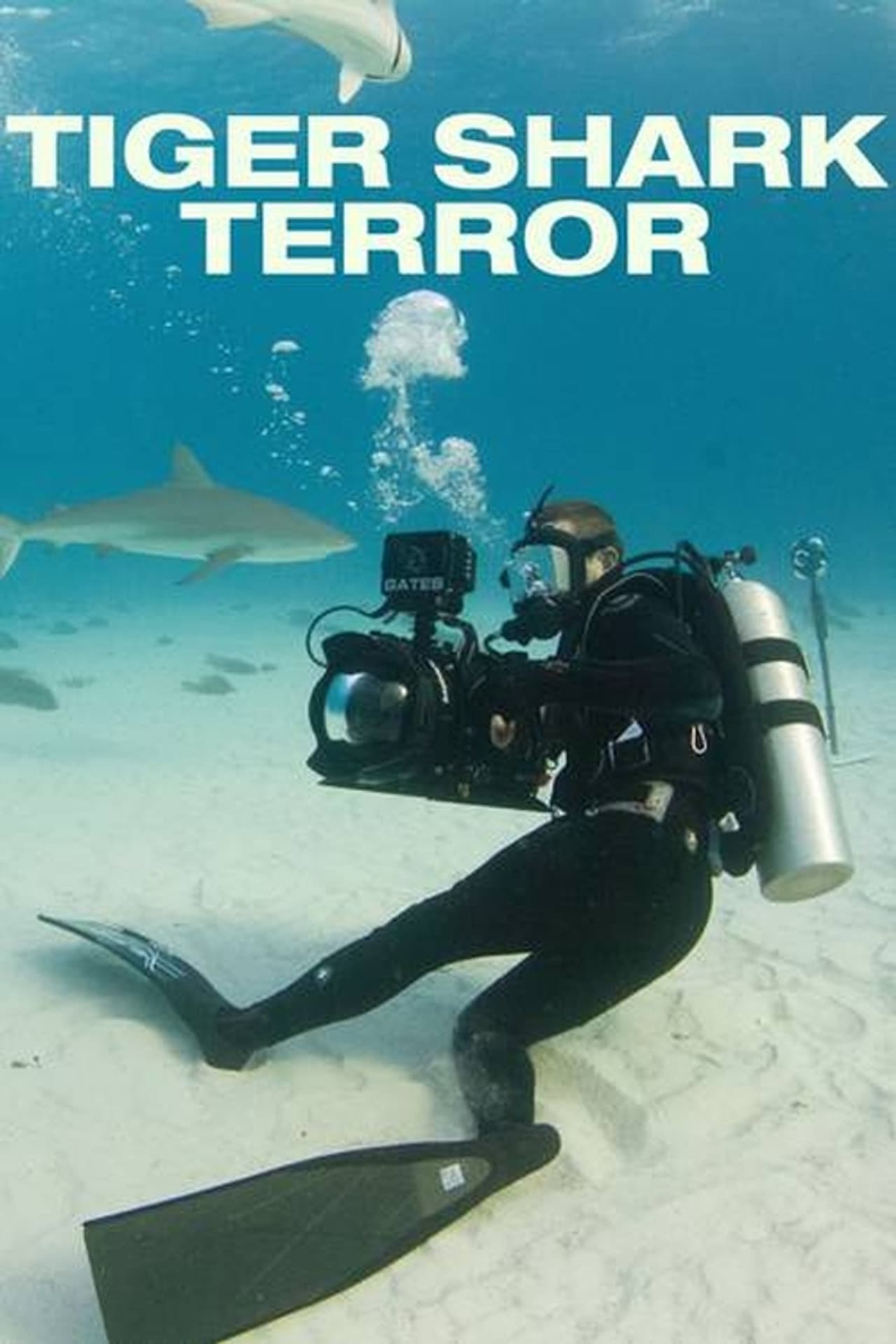 Tiger Shark Terror preview 1