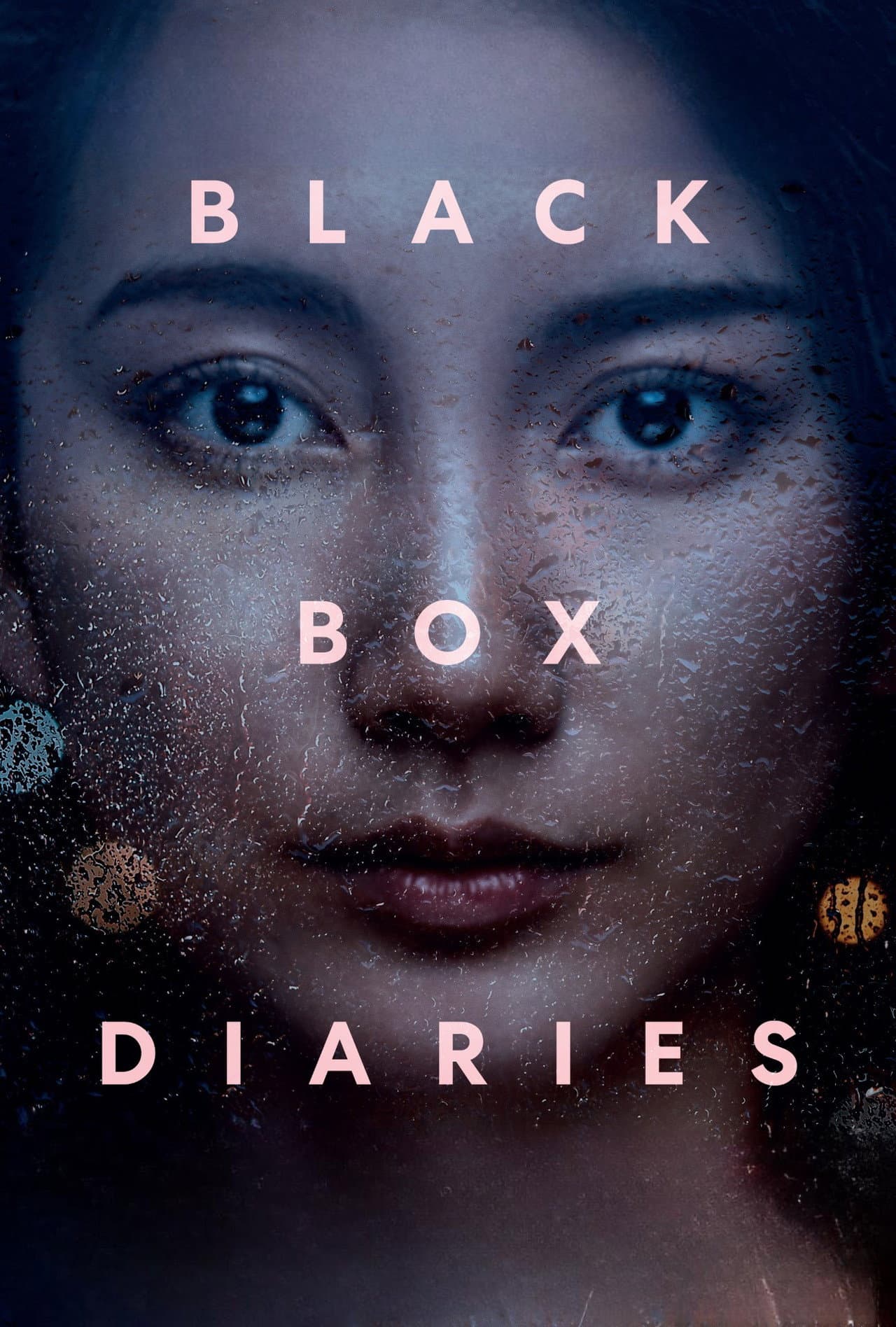 Black Box Diaries preview 2