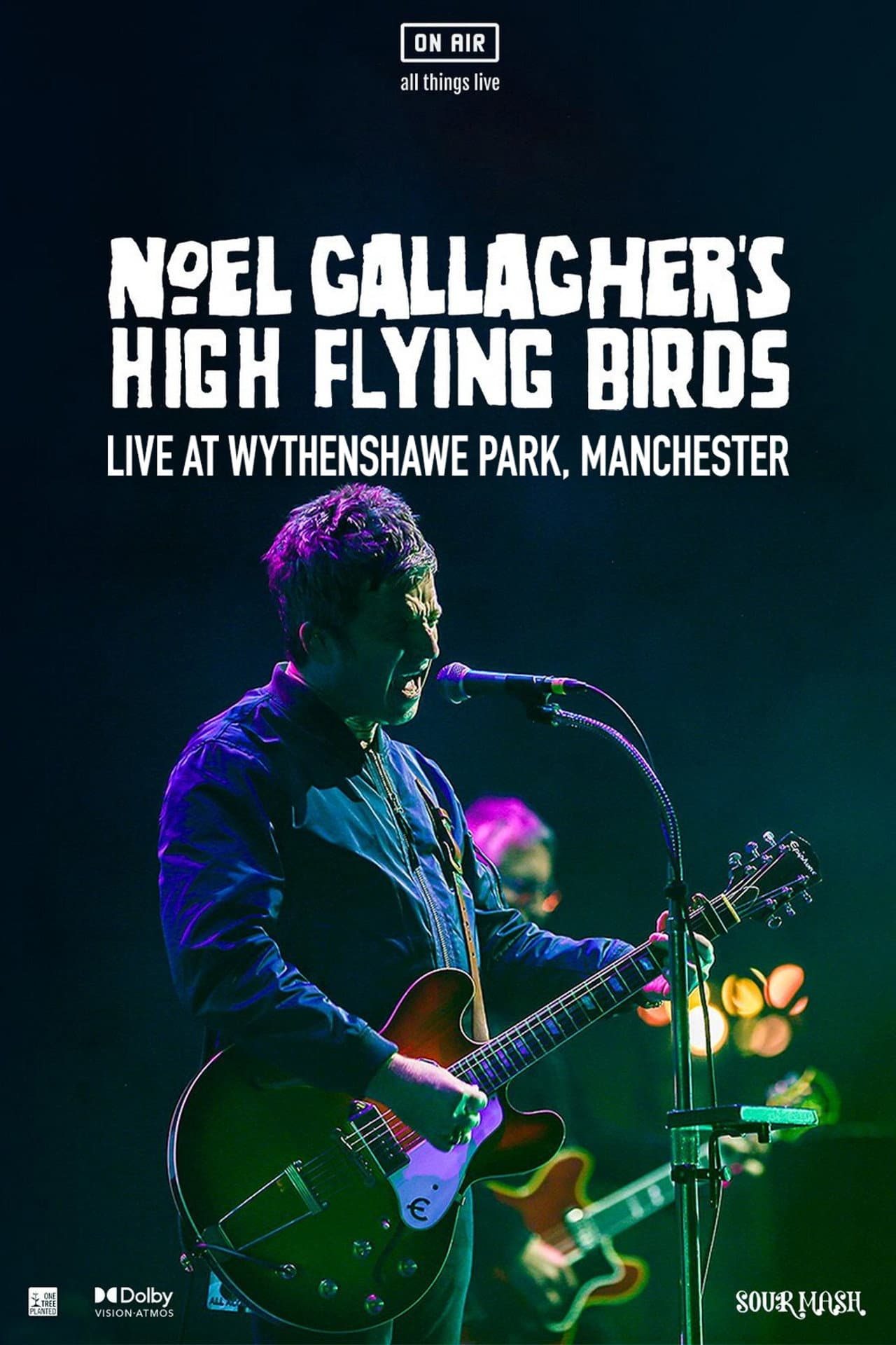 Noel Gallagher's High Flying Birds - Live at Wythenshawe Park, Manchester preview 2