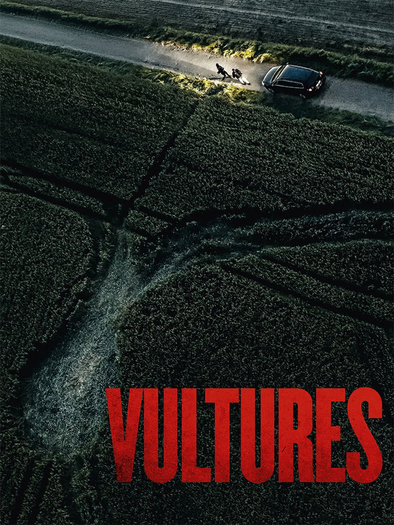 Vultures preview 2