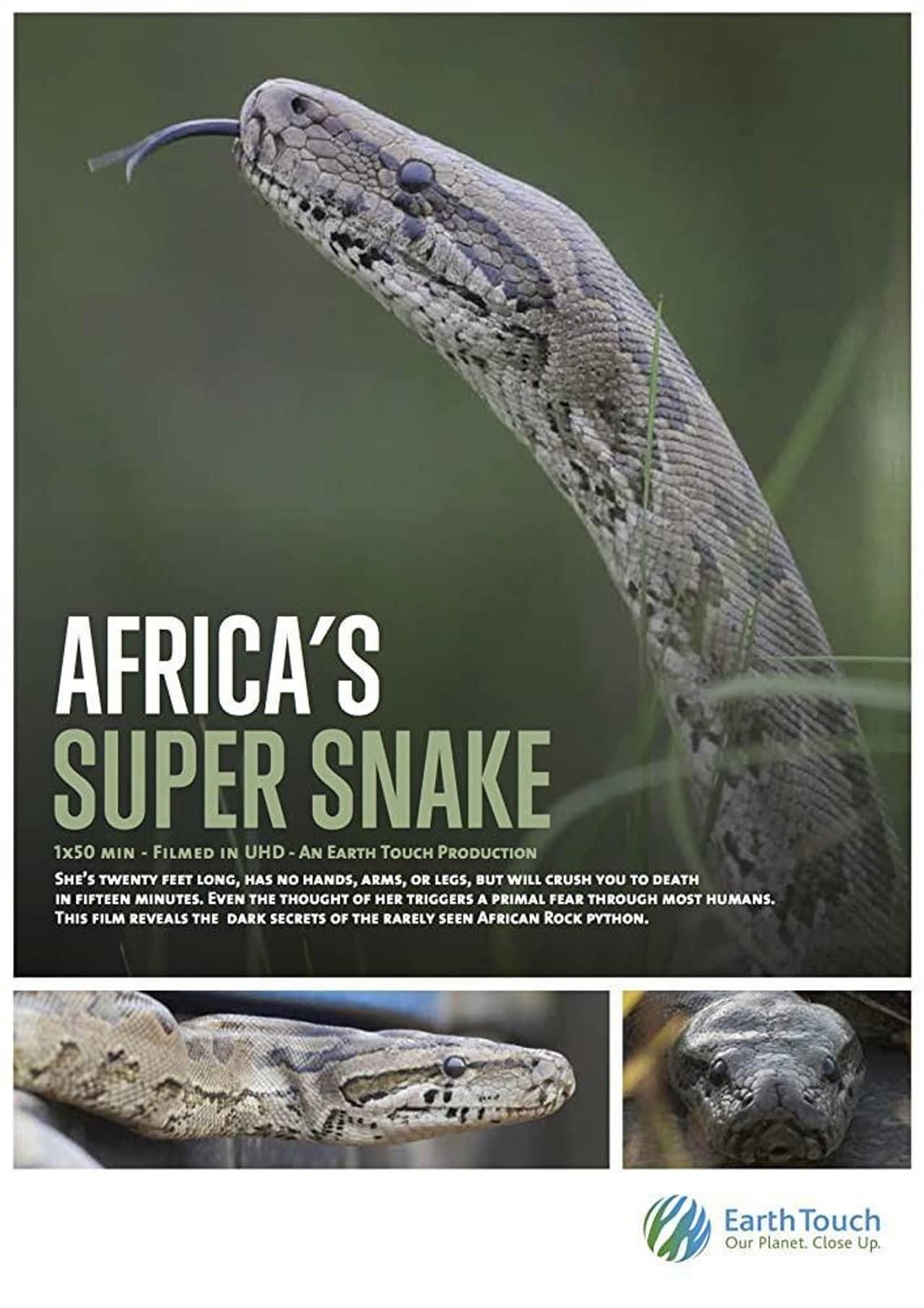 Africa's Super Snake preview 2