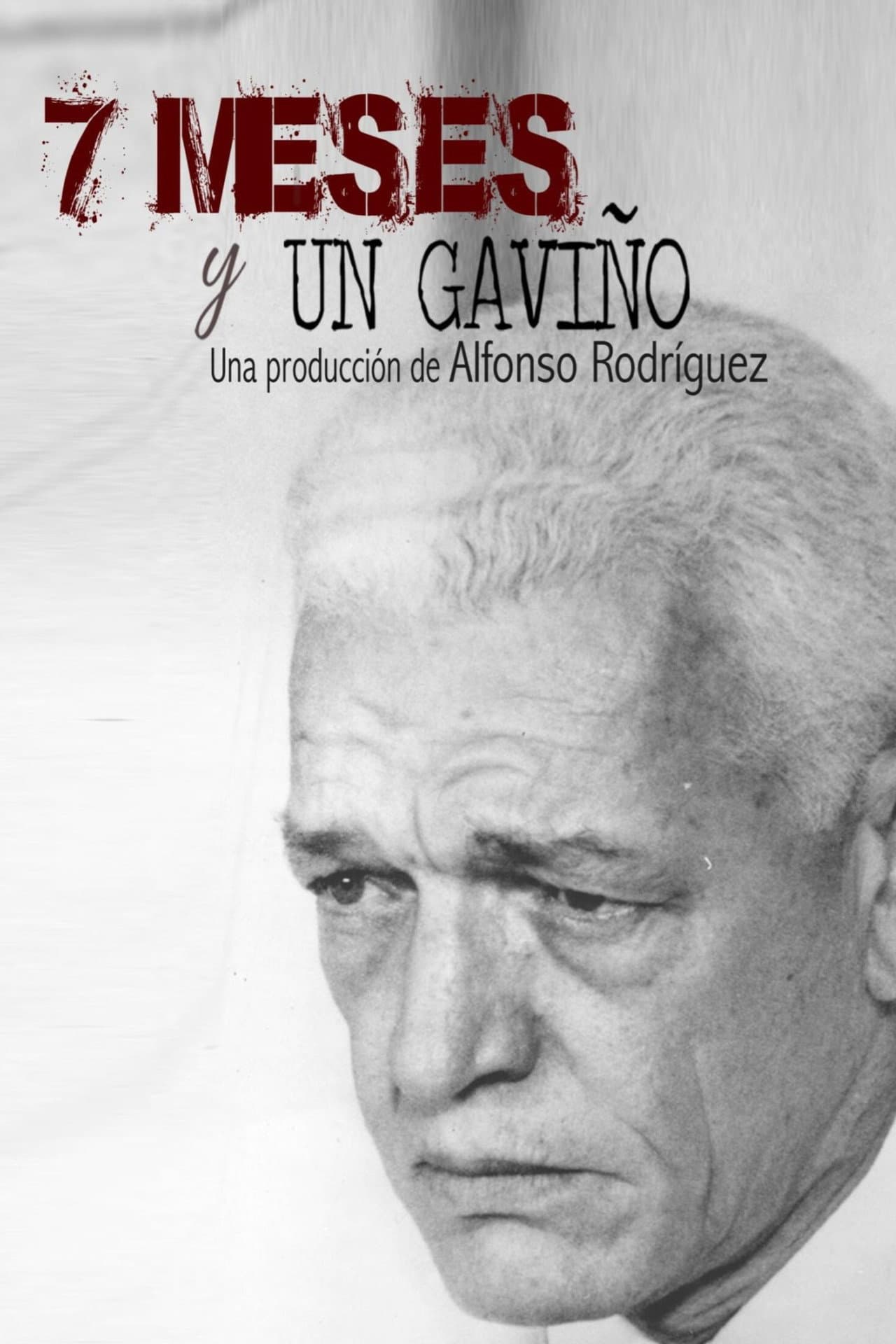 7 meses y un Gaviño preview 2