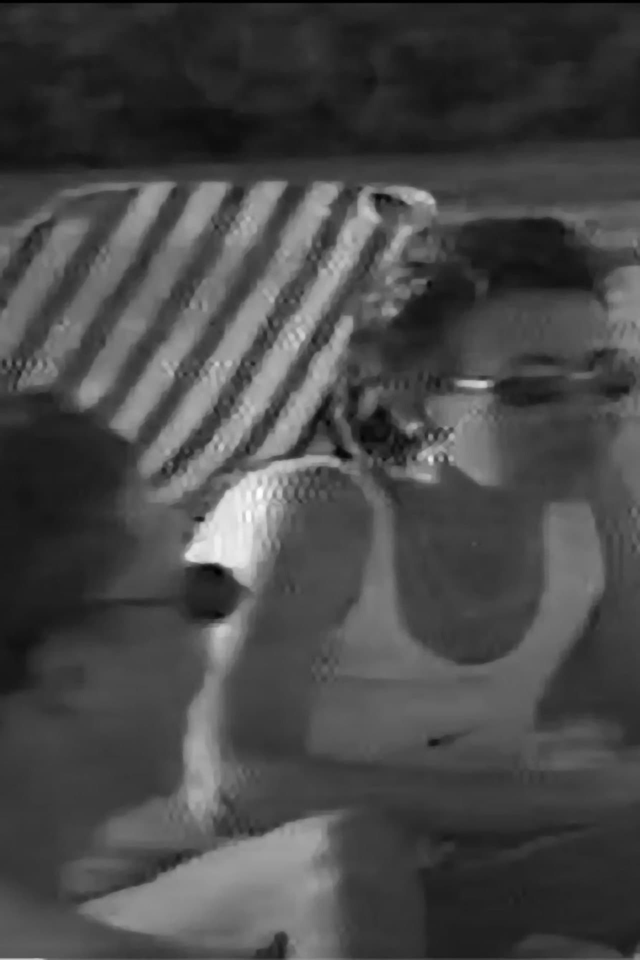 Lesbians Go Mad In Lesbos preview 1