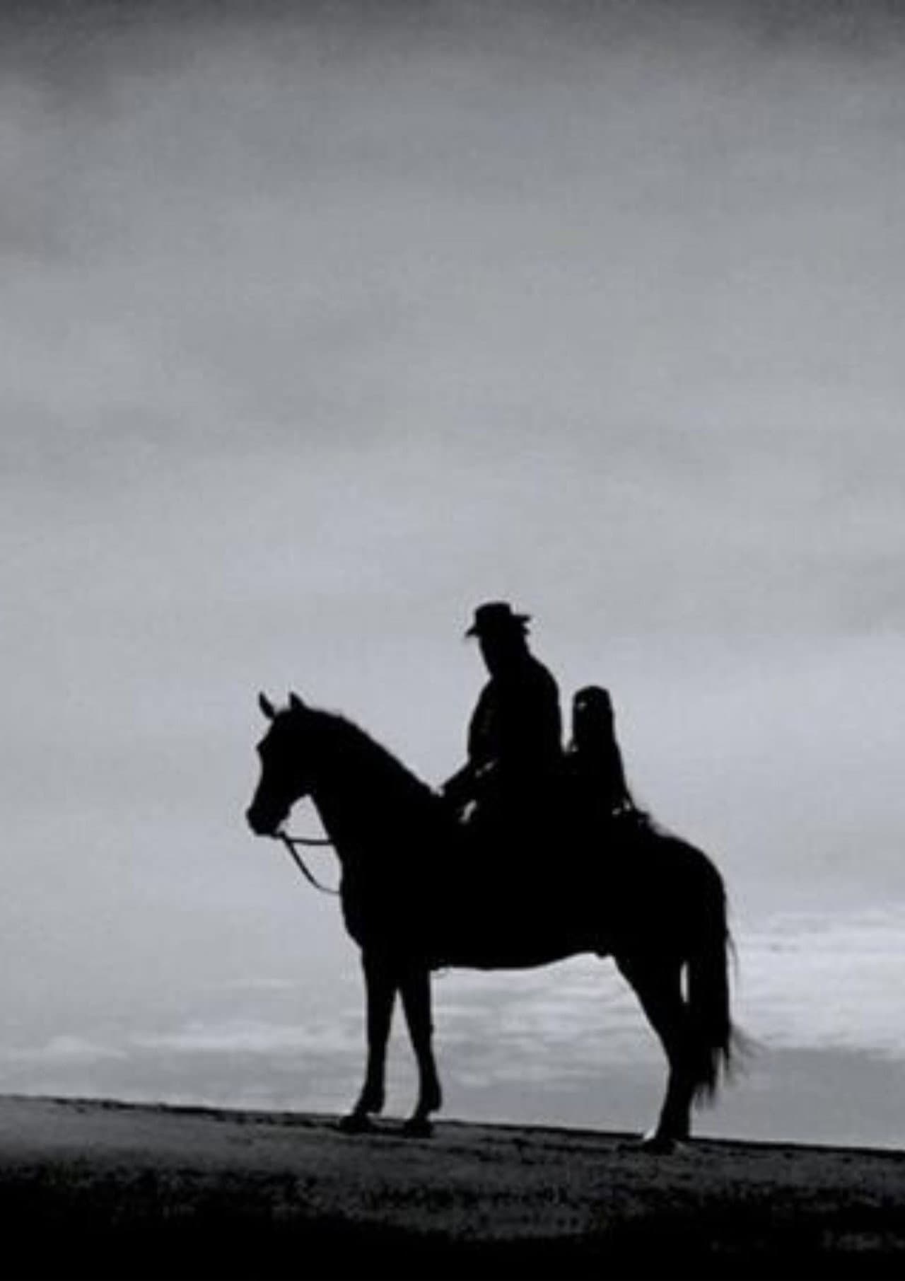 First Horse preview 2