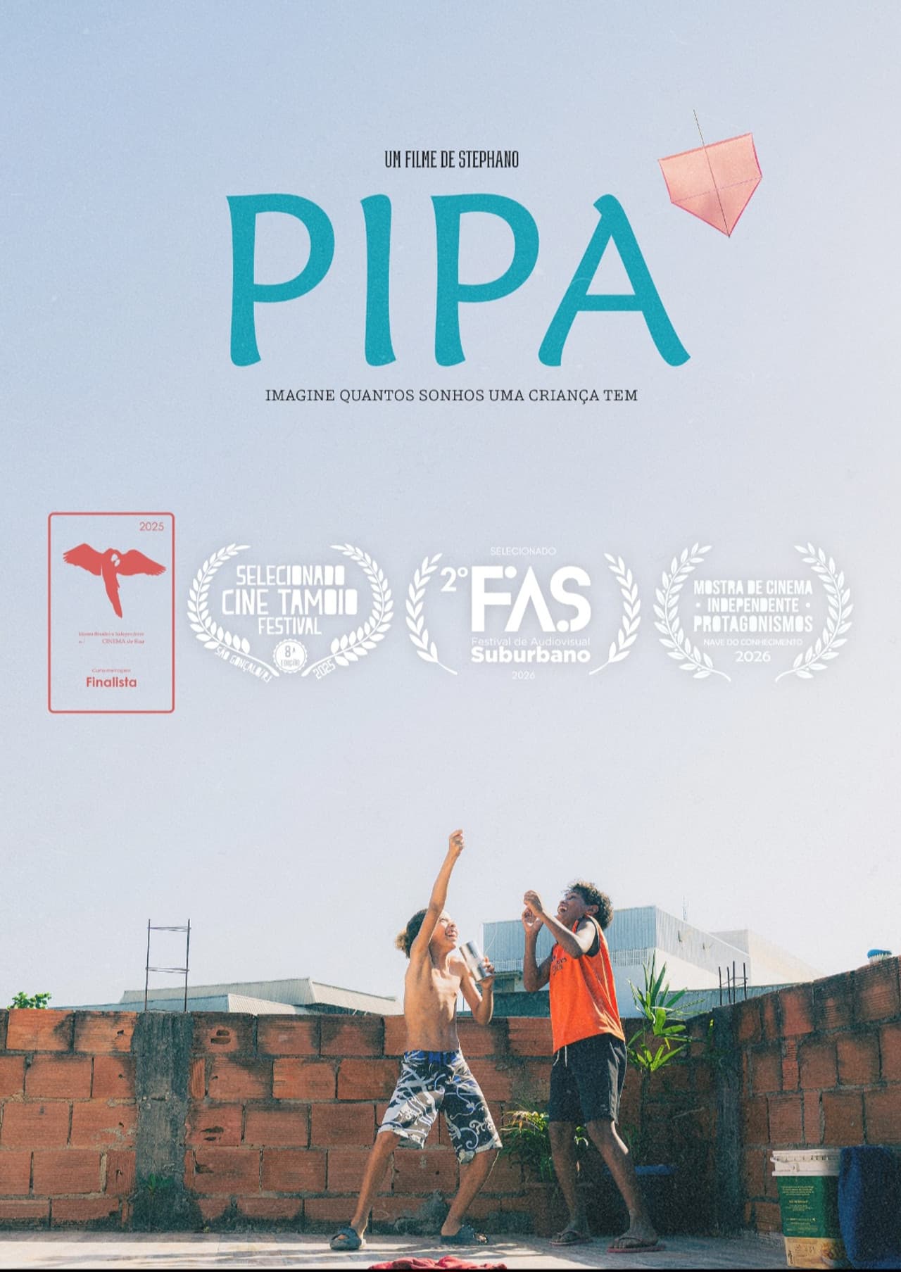 PIPA preview 2