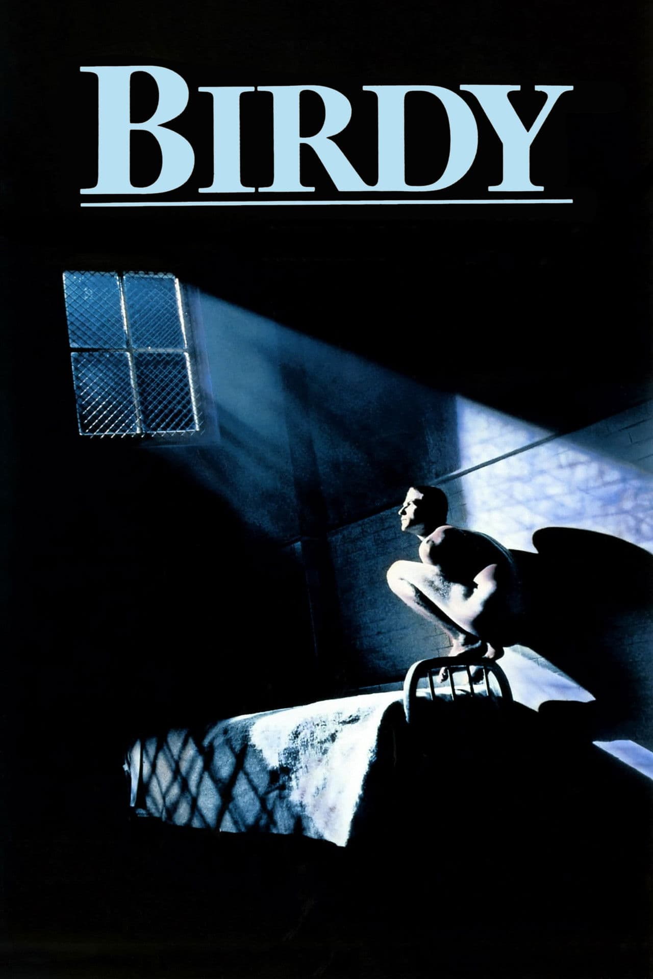 Birdy preview 2