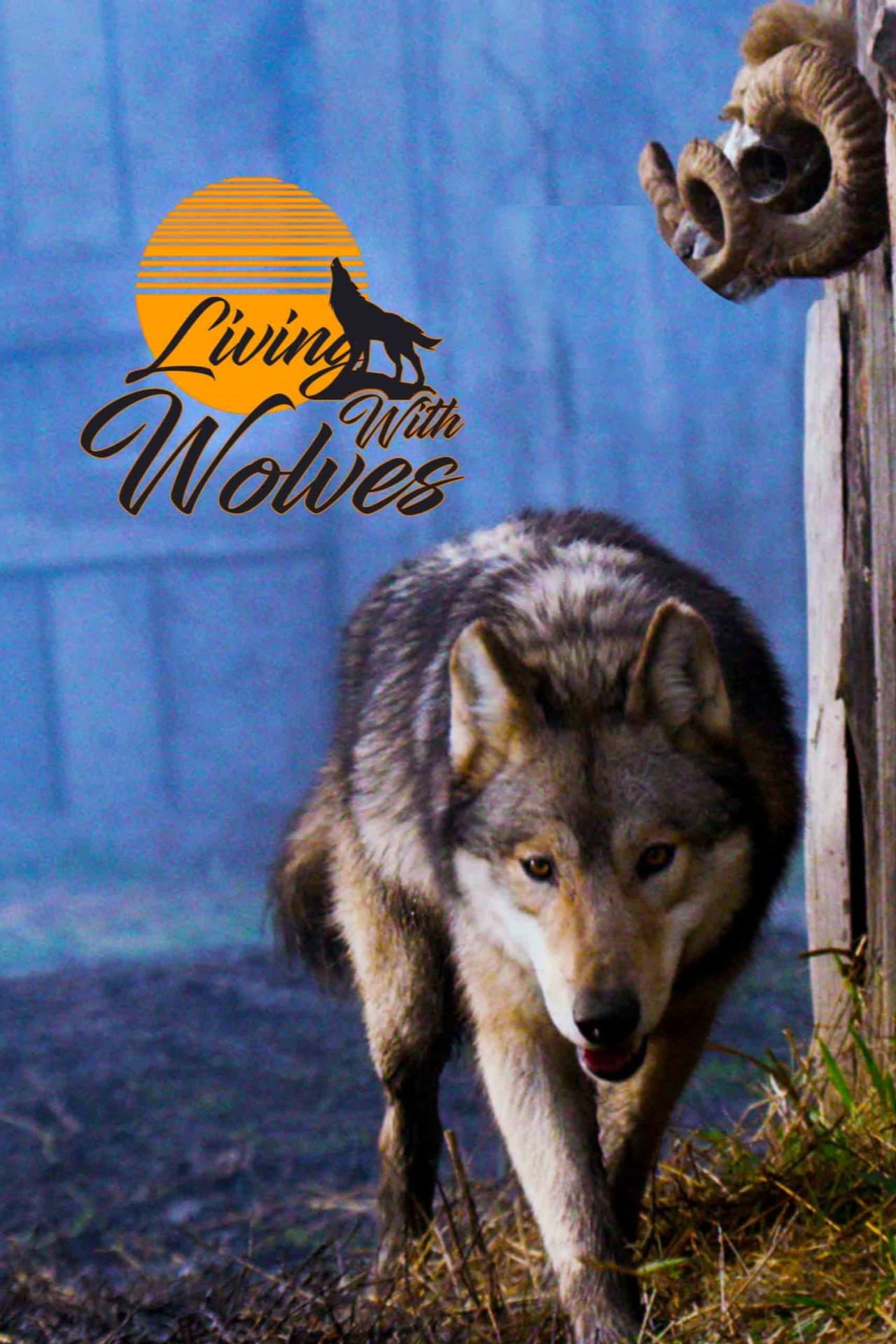 Living With Wolves preview 1