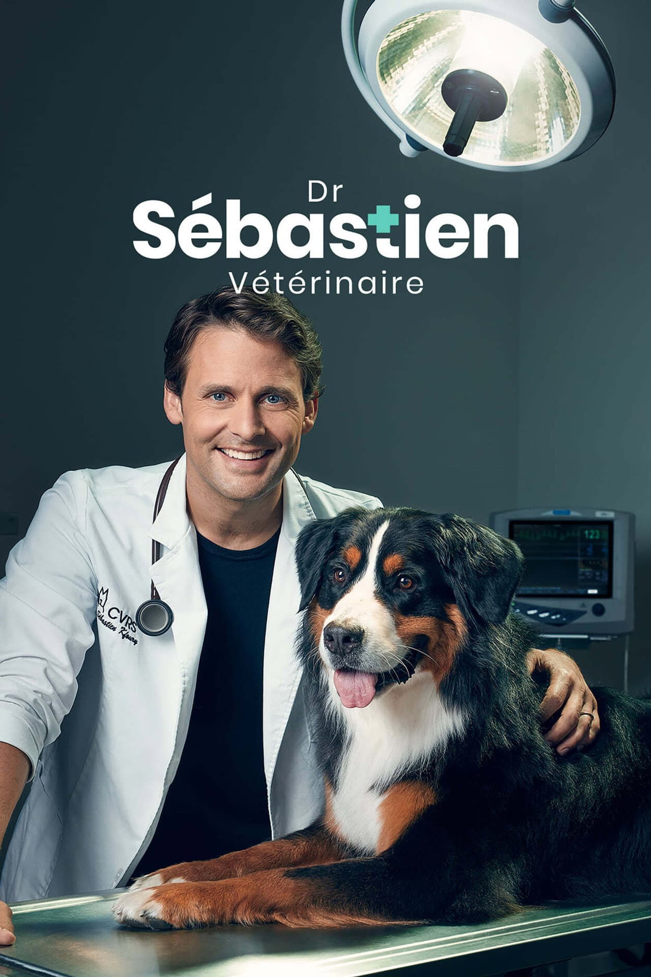 Dr Sébastien, vétérinaire preview 2