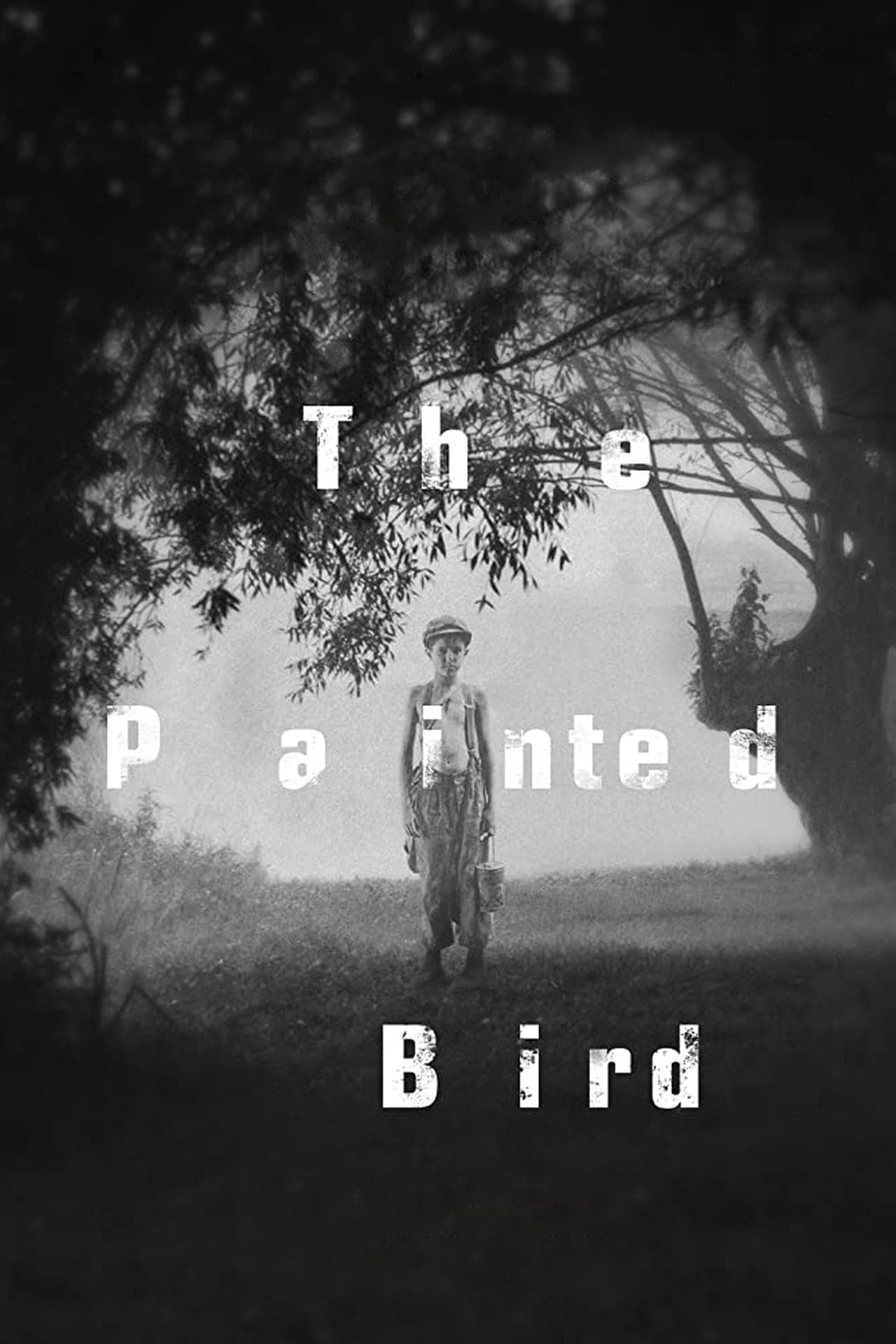 The Painted Bird preview 2